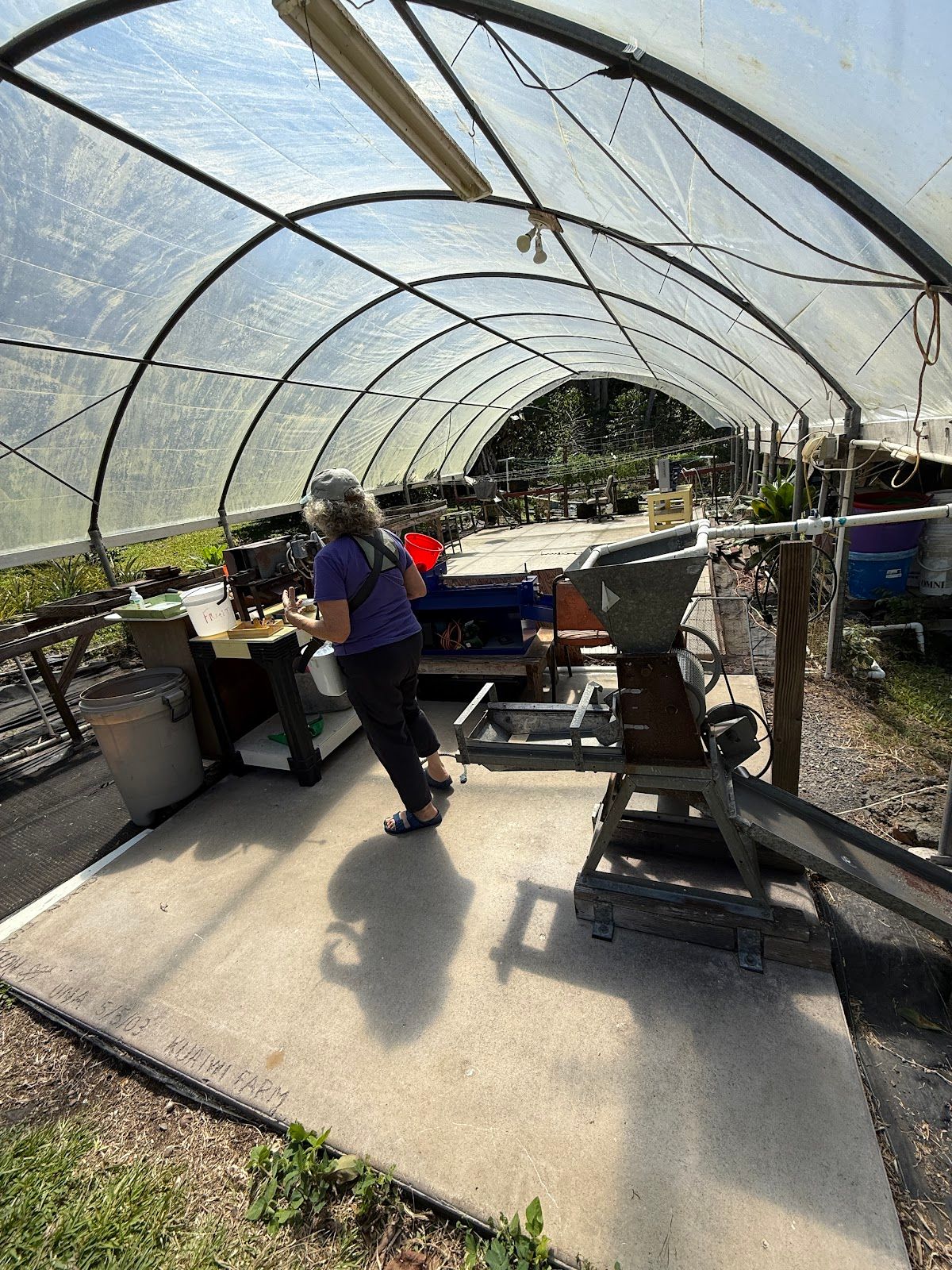 Photo 7 of Kuaiwi Farm in South Kona, Big Island