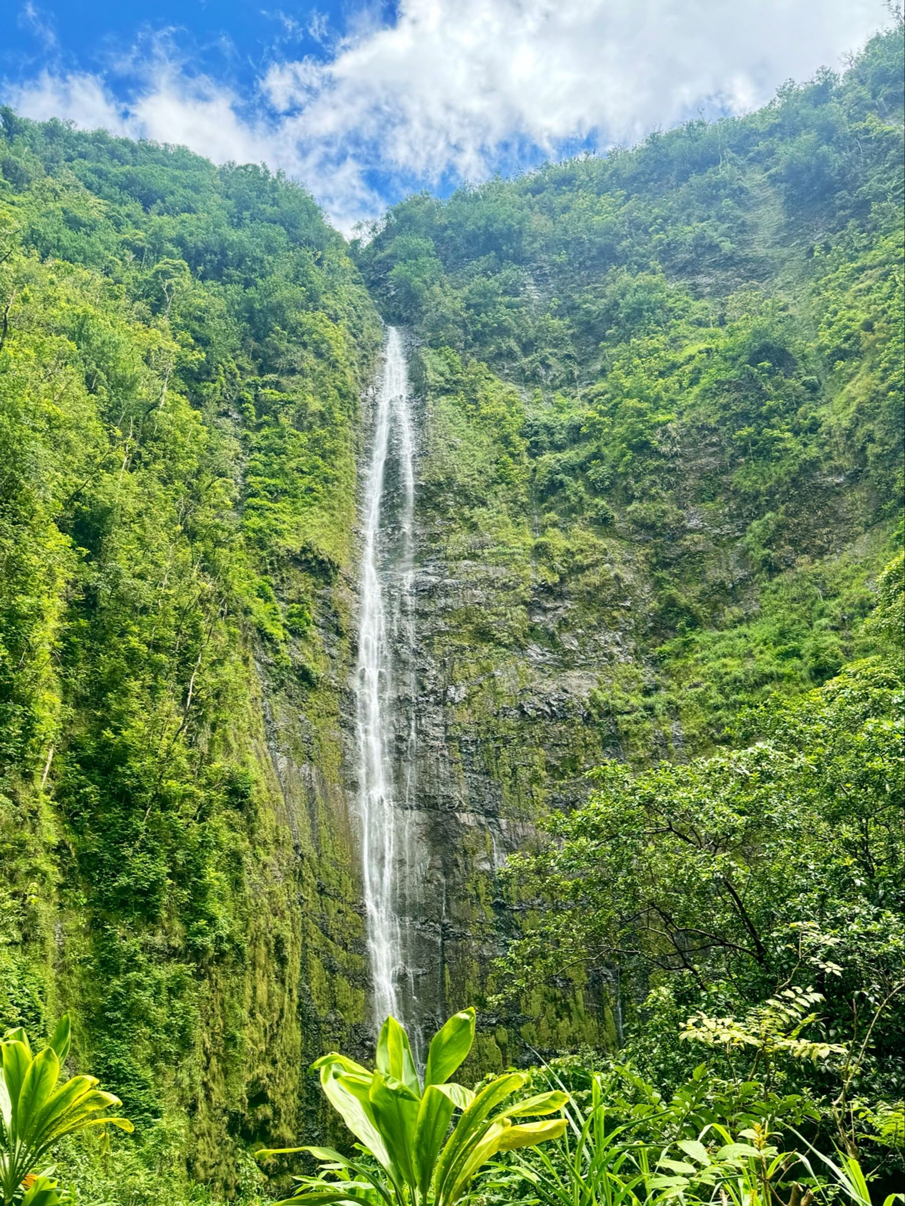 Photo 2 of Pipiwai Trail in Kīpahulu & Kaupō, Maui