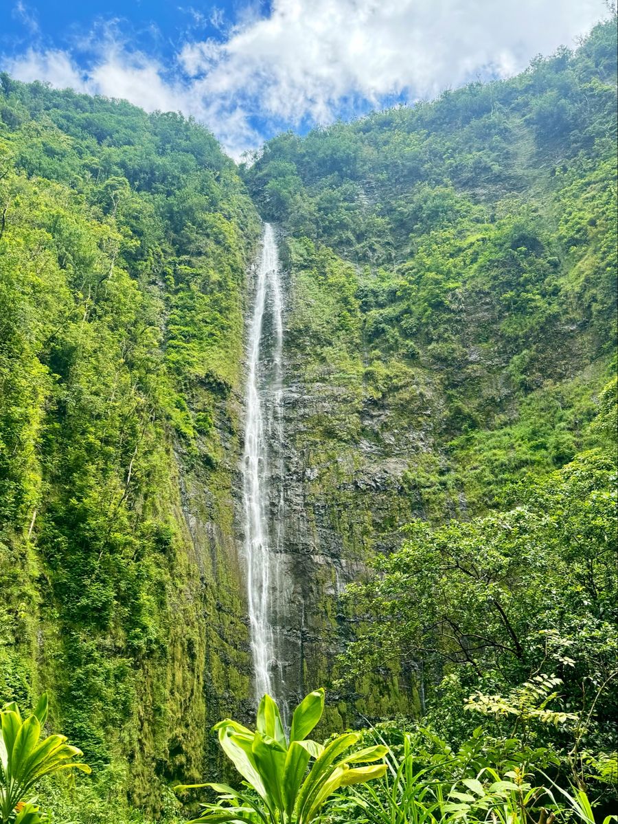 Photo 1 of Waimoku Falls in Kīpahulu & Kaupō, Maui