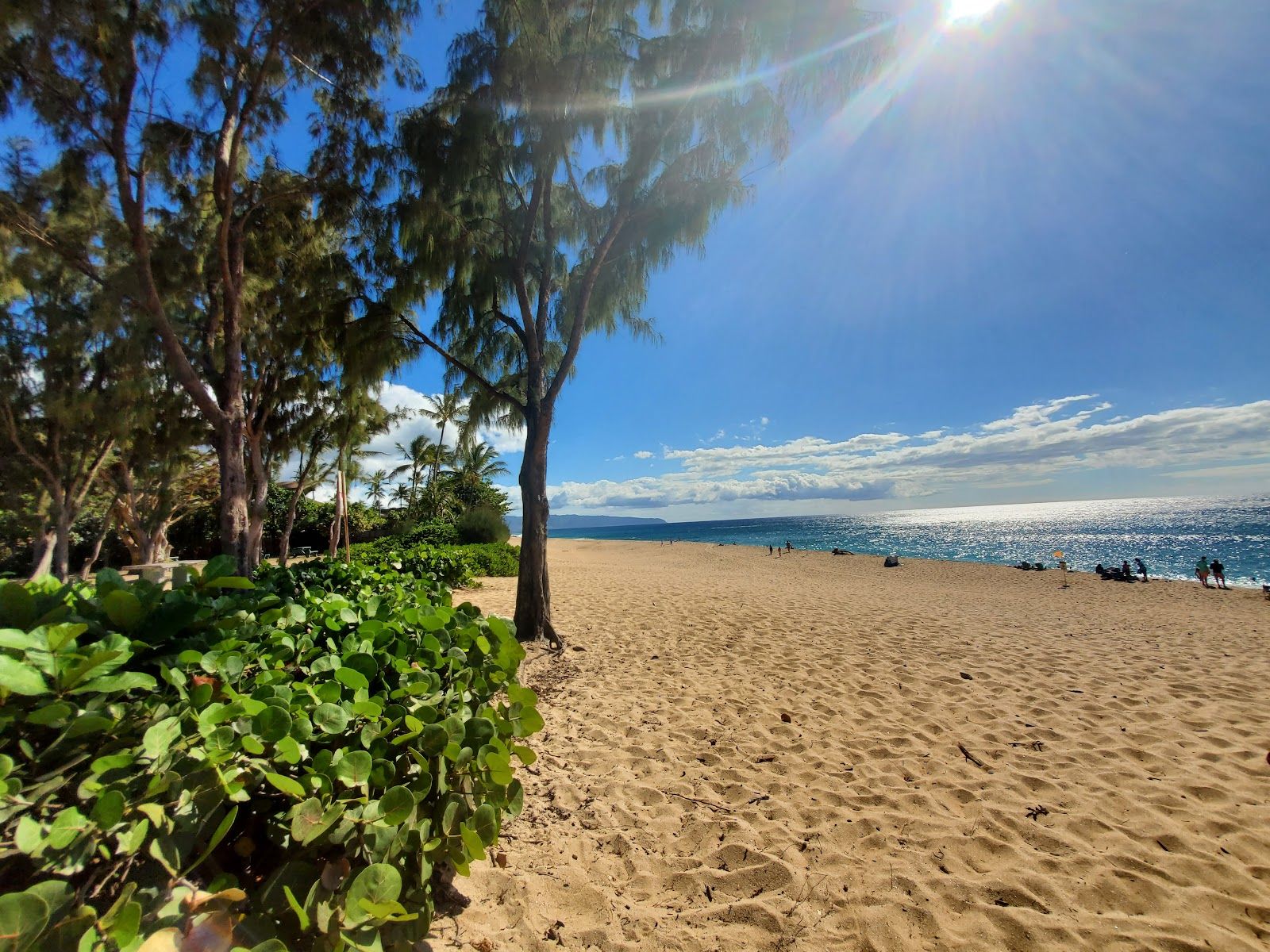 Photo 5 of ʻEhukai Beach Park in Pūpūkea, Oahu