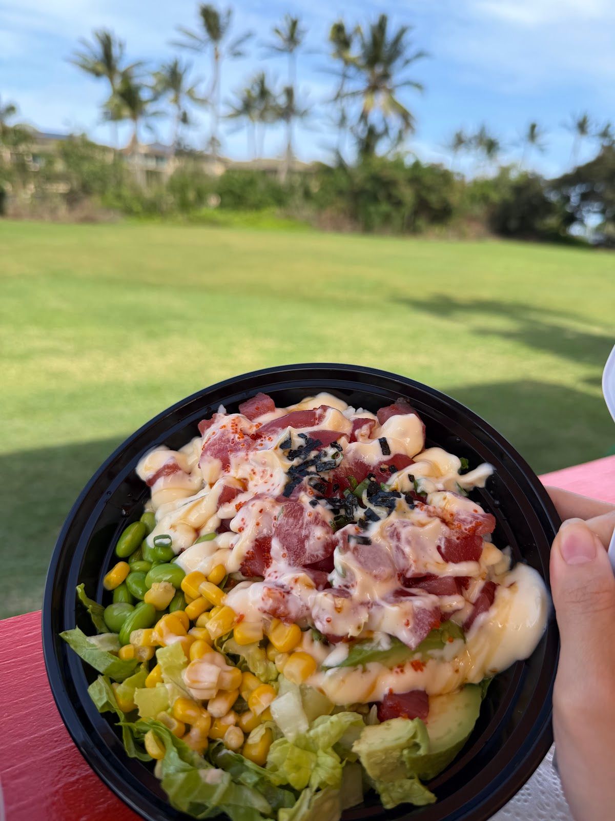 Photo 2 of 8E88 Thai & Poké in Wailua, Kauai