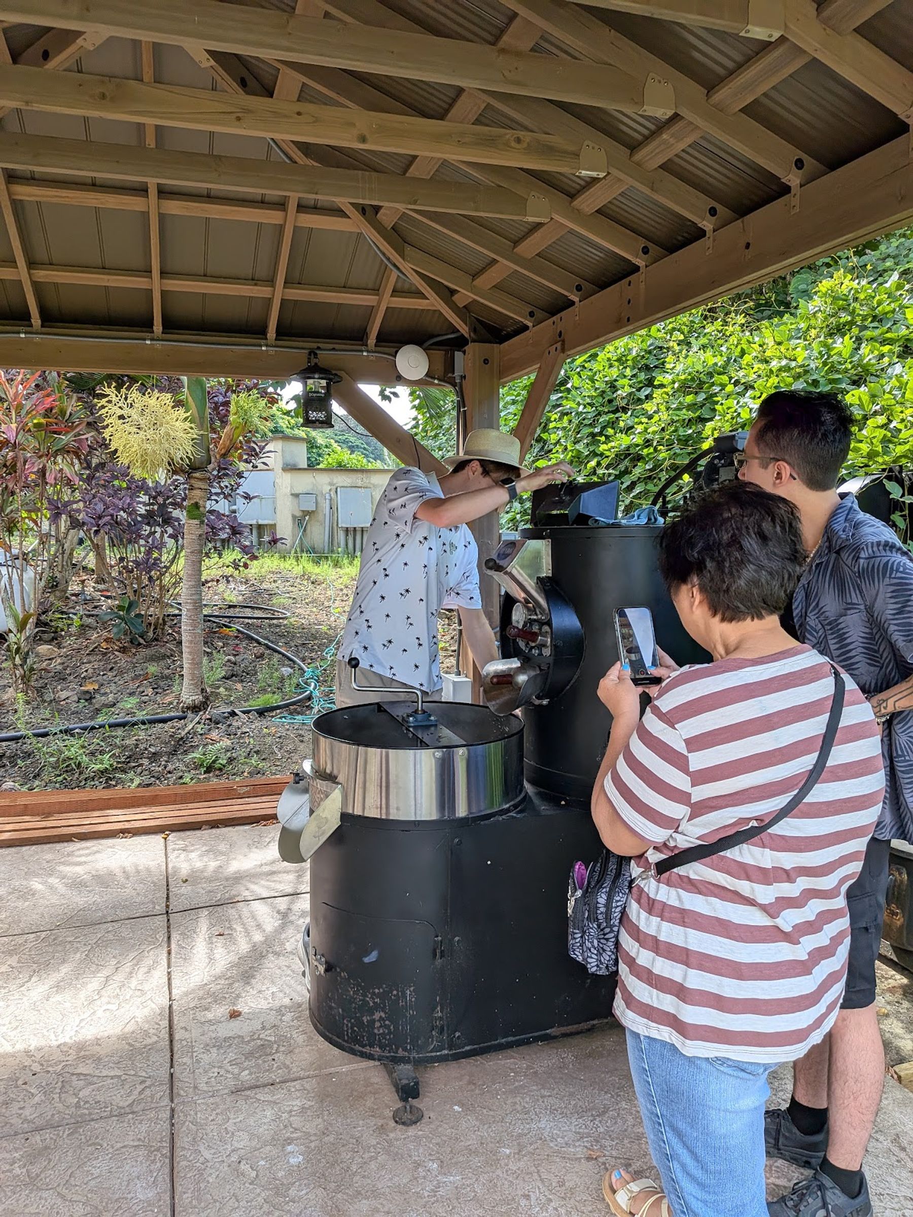 Photo 4 of Rising Kona Coffee Farm Tours in Hōlualoa, Big Island