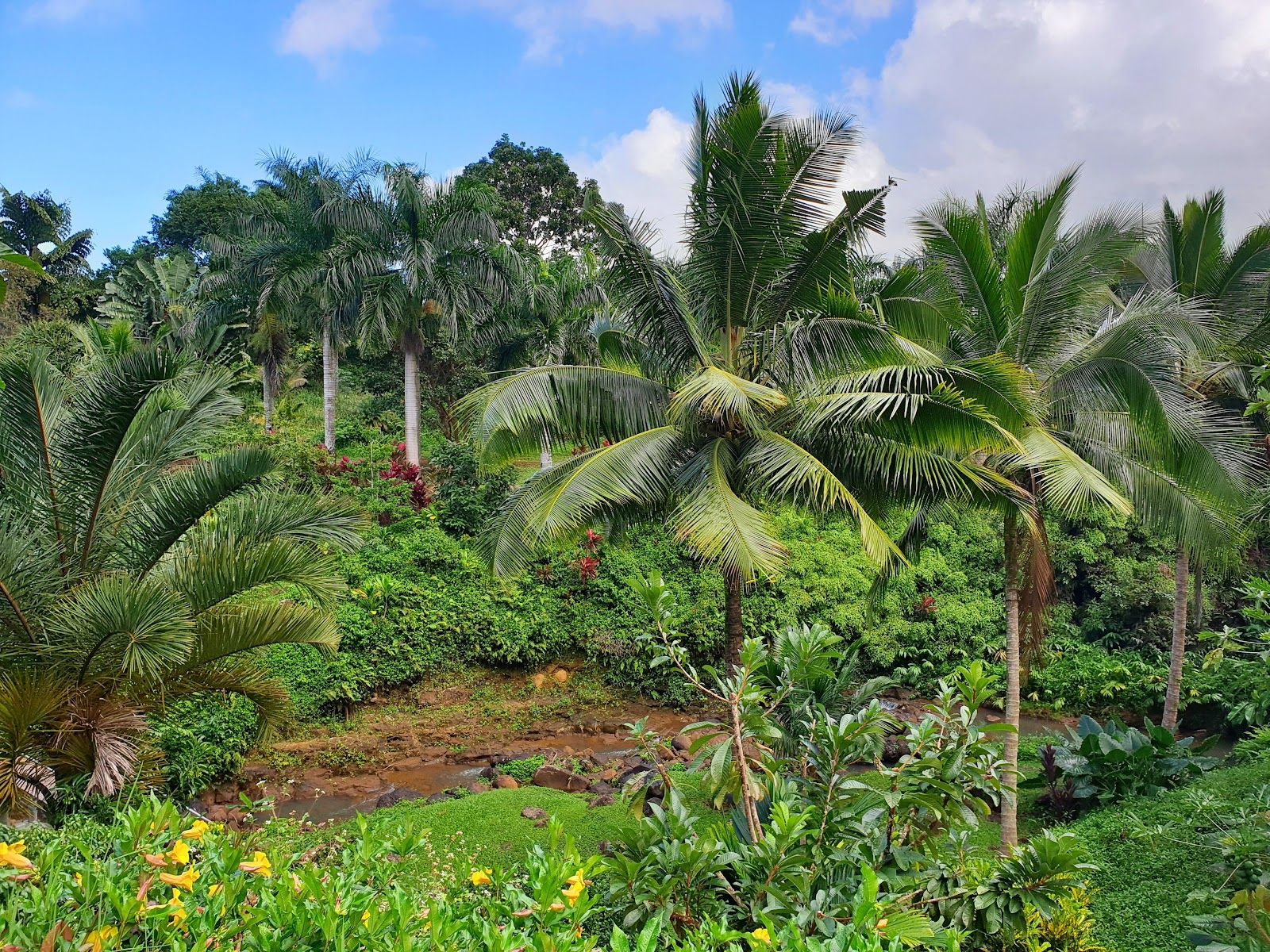 Princeville Botanical Gardens in Princeville, Kaua‘i photo 2
