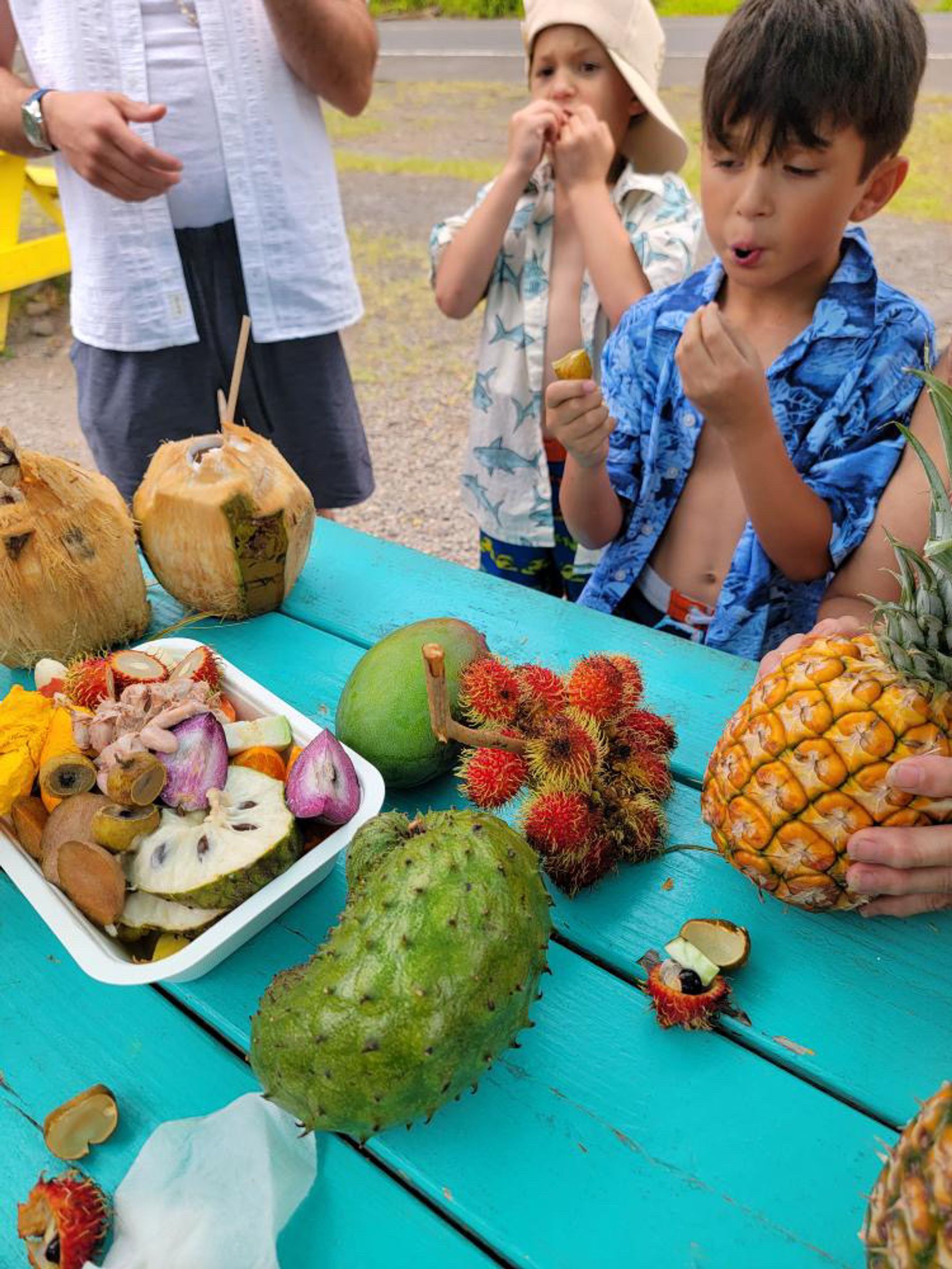 Photo 9 of Lilinoe Fruit Stand in Honokaʻa, Big Island