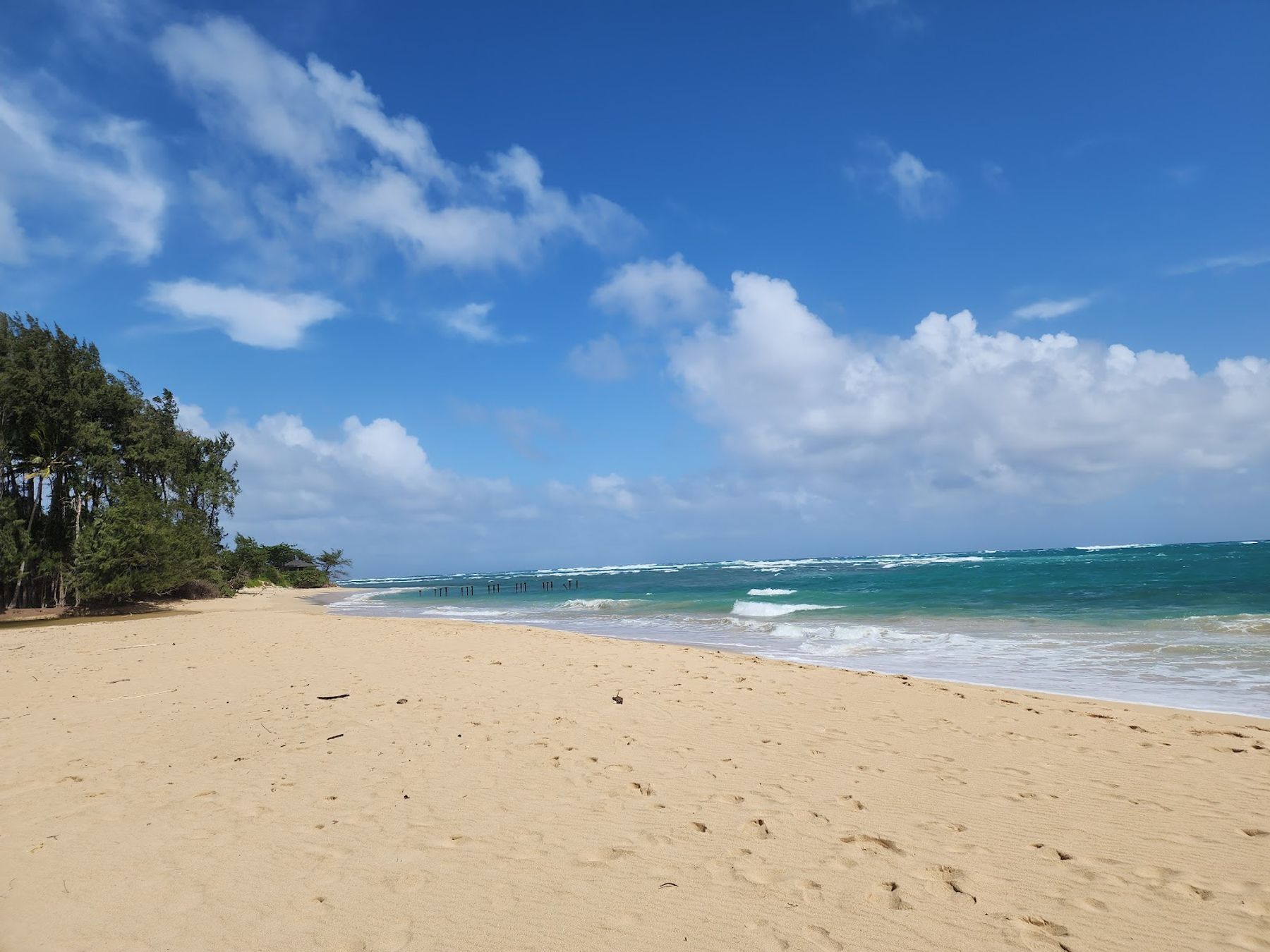 Photo 2 of Lāʻielohelohe Beach Park in Lāʻie, Oahu