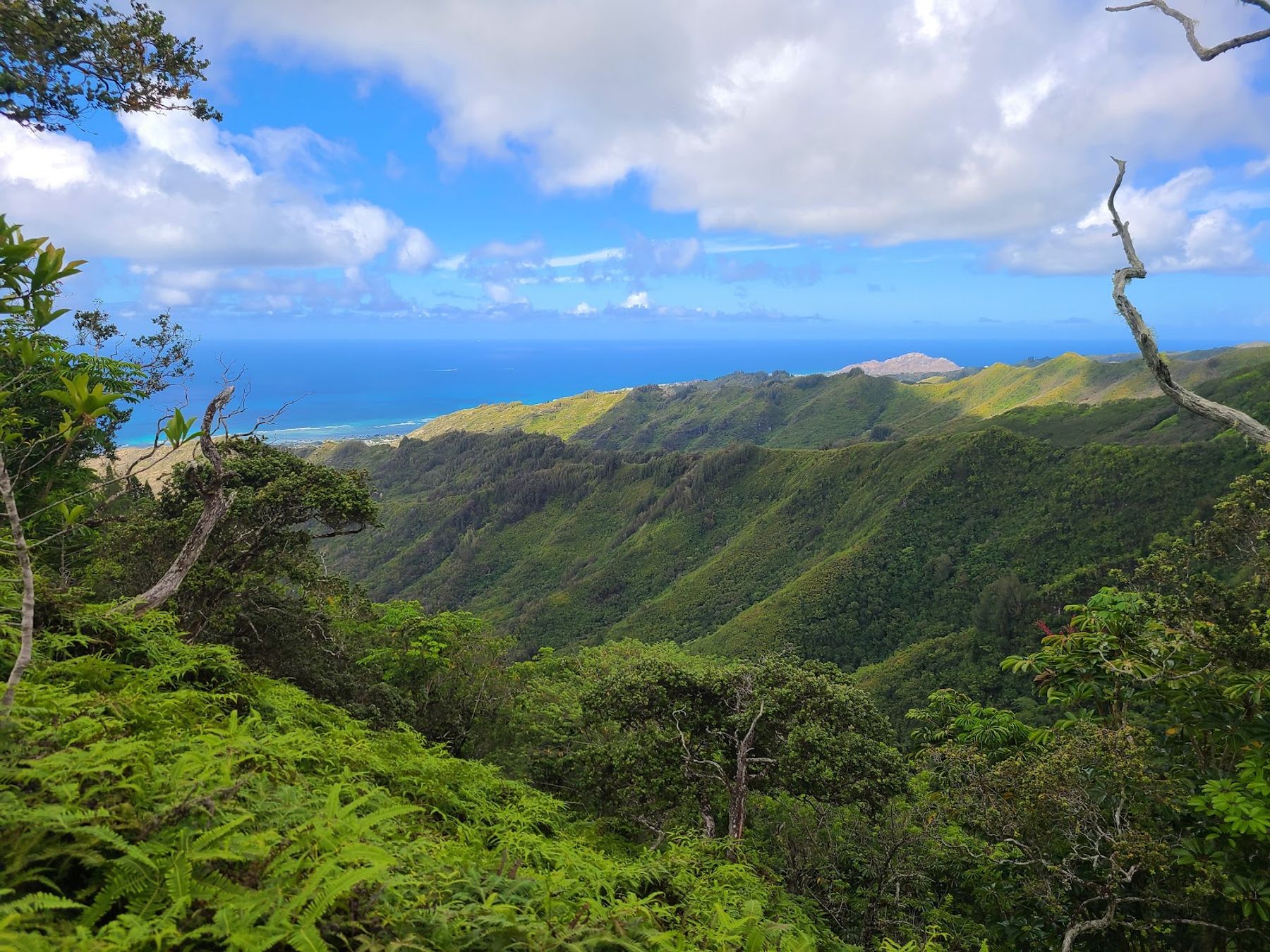 Photo 7 of Kuli‘ou‘ou Ridge Trailhead in Hawaiʻi Kai & East Honolulu, Oahu