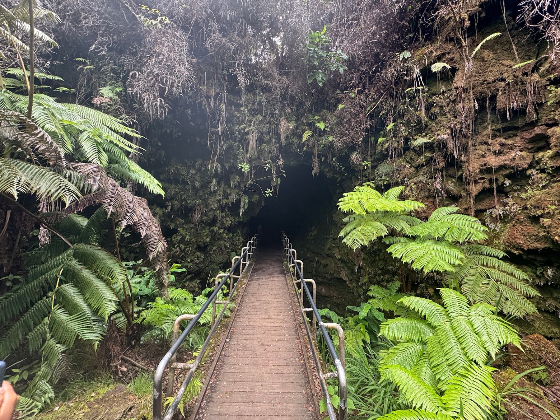 Photo 7 of Hawaiʻi Volcanoes National Park in Volcano, Big Island