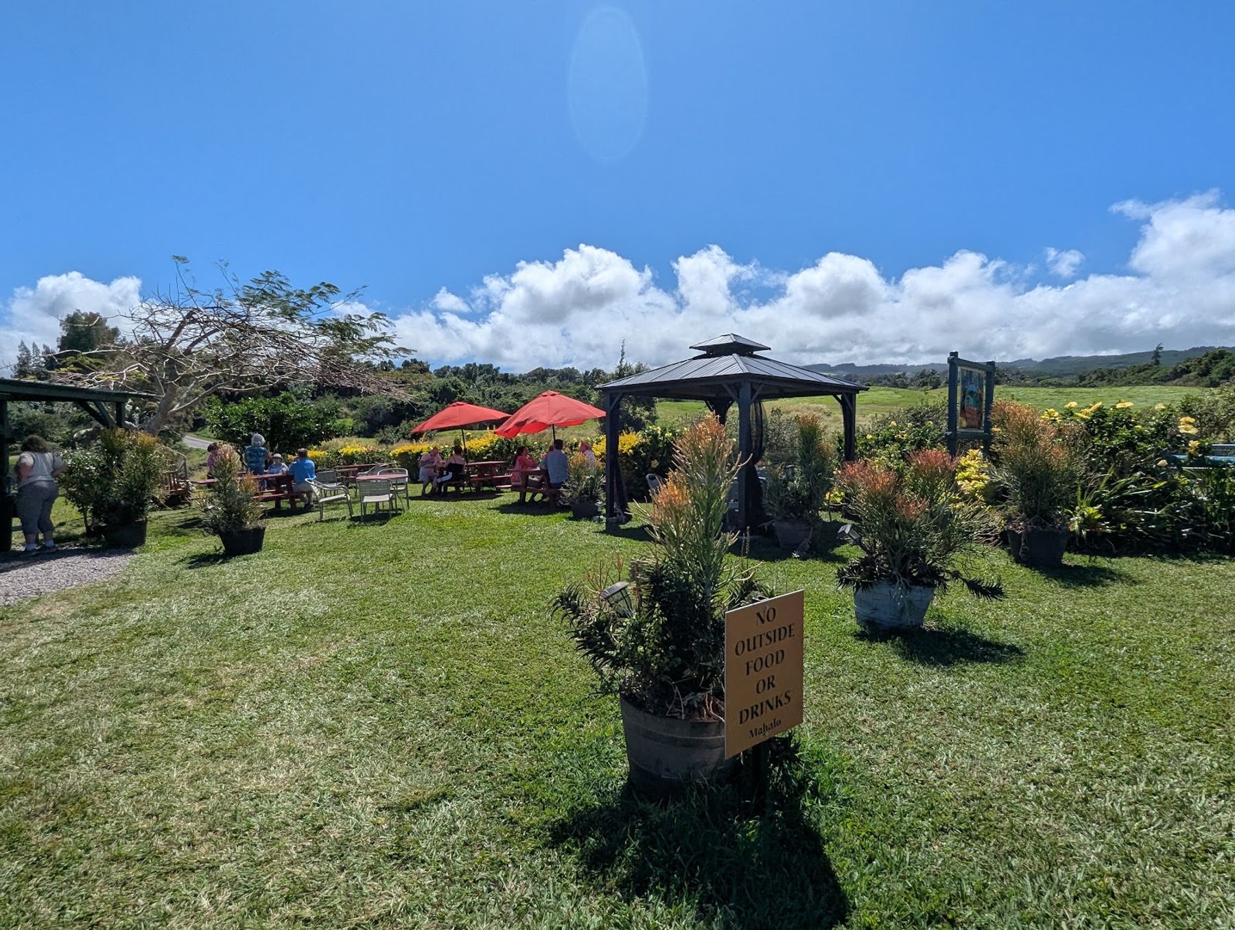 Photo 5 of Fresh Off the Grid, Kohala. in North Kohala, Big Island