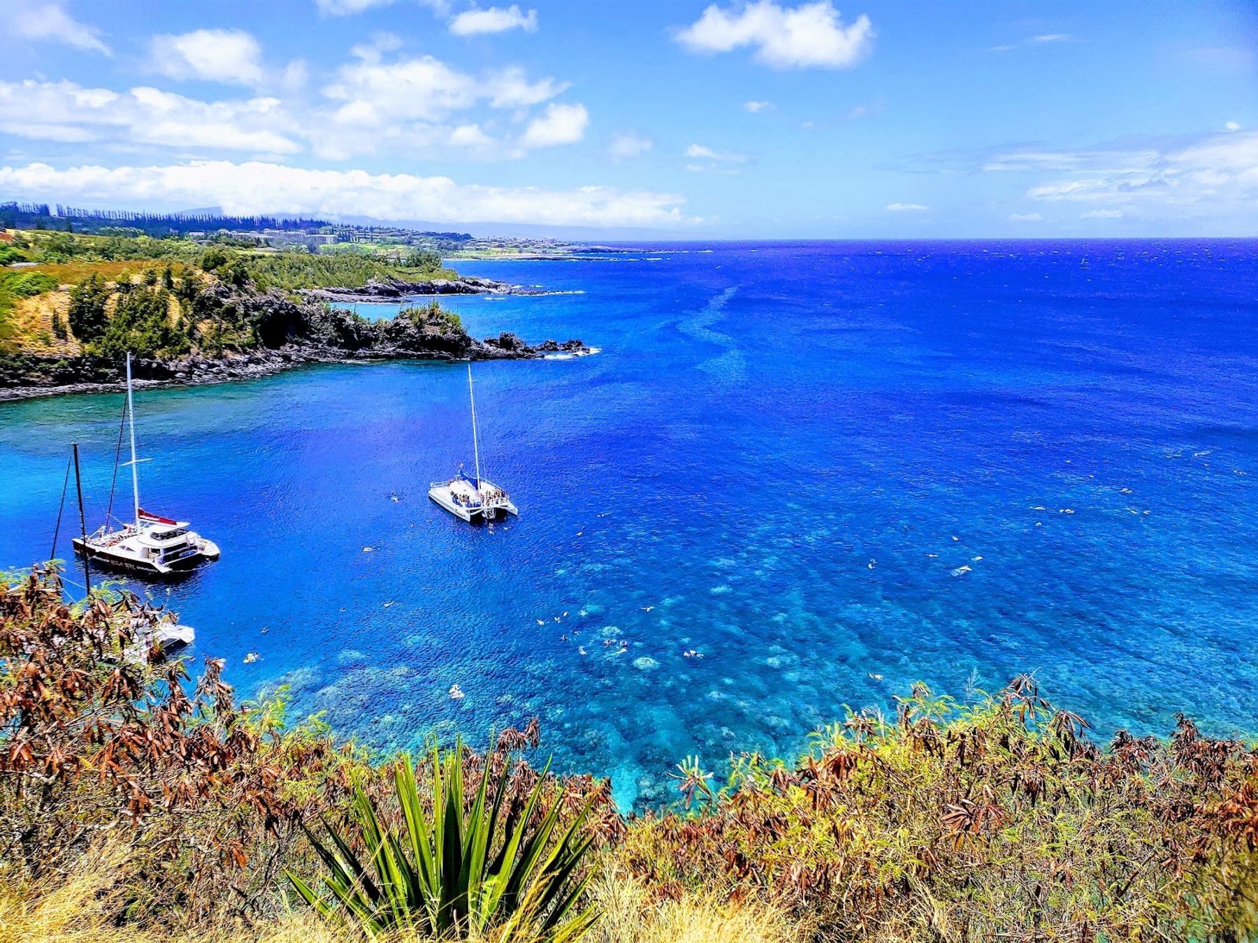 Photo 8 of Honolua Bay Access Trail in Kapalua, Maui