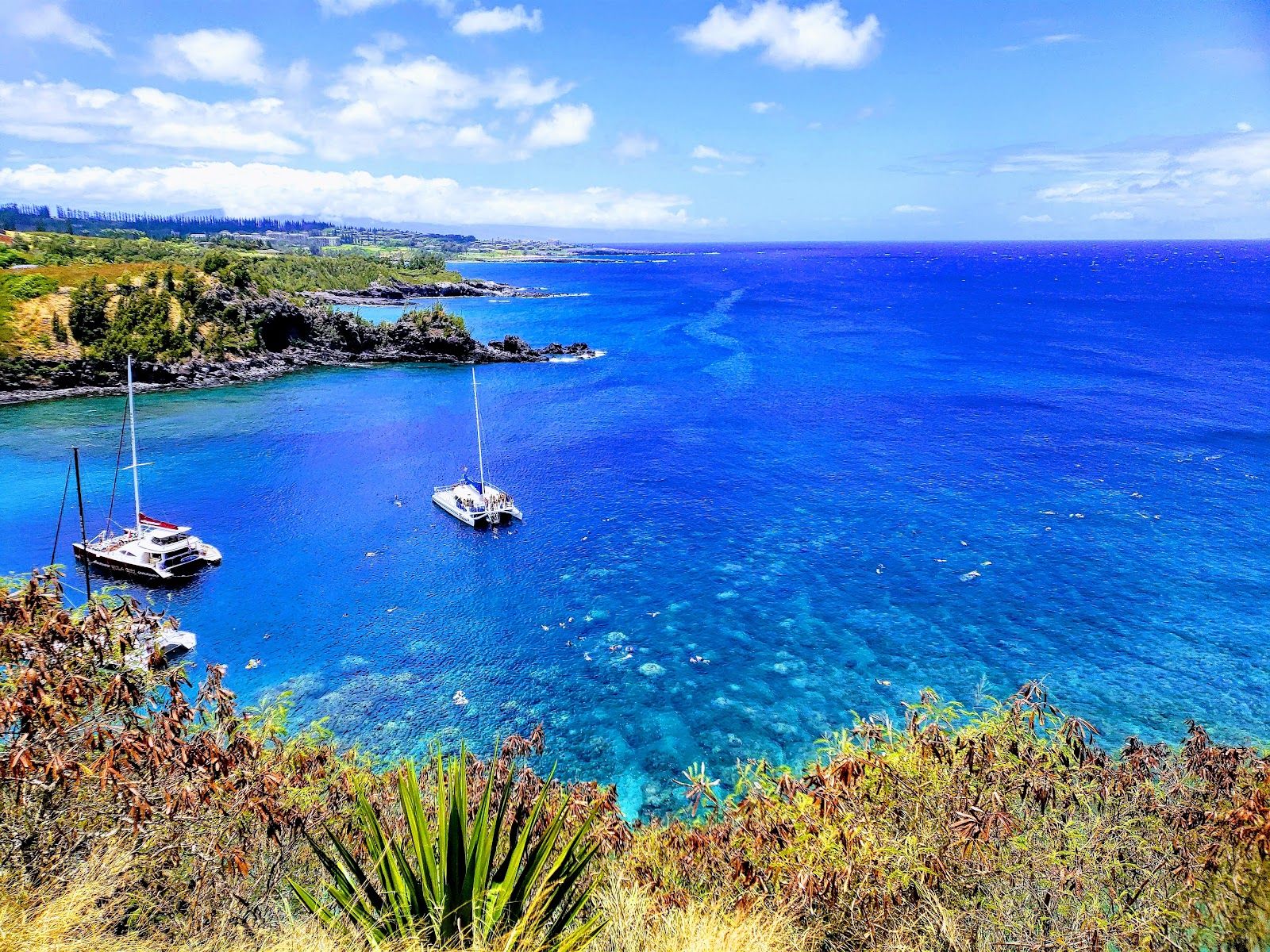 Photo 8 of Honolua Bay Access Trail in Kapalua, Maui