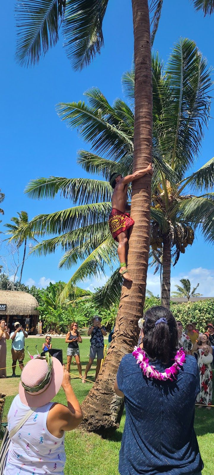 Photo 6 of Polynesian Cultural Center in Lāʻie, Oahu