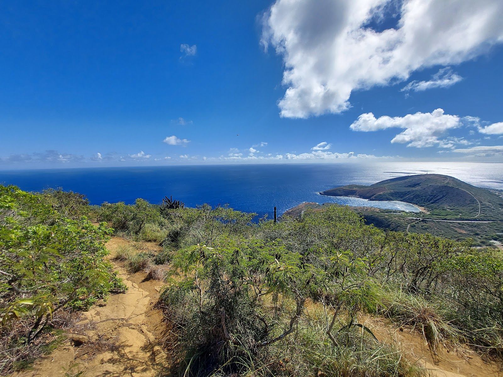 Photo 5 of Koko Crater Botanical Garden in Hawaiʻi Kai & East Honolulu, Oahu