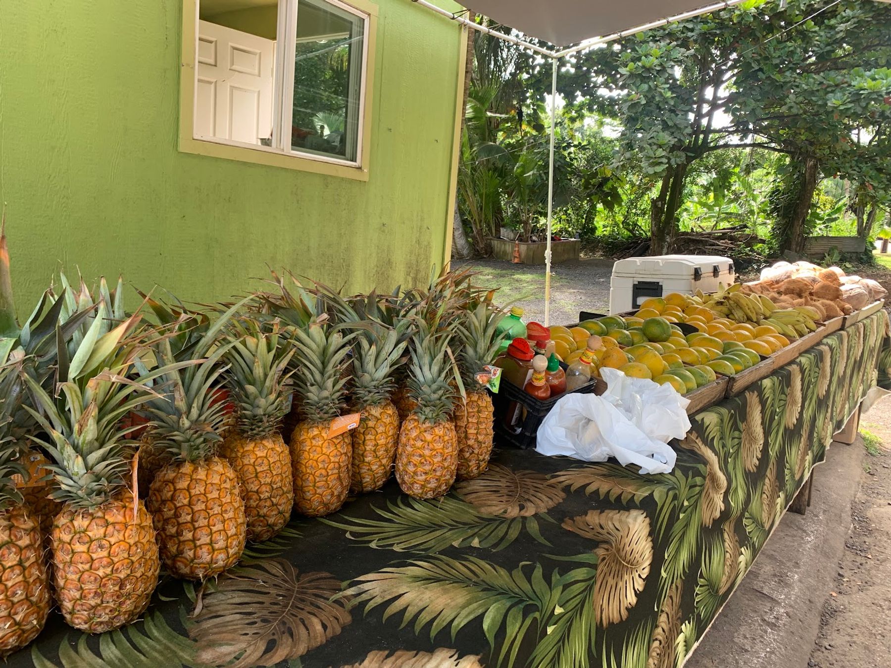 Photo 1 of Kualoa Coconut Man in Kualoa & North Windward, Oahu