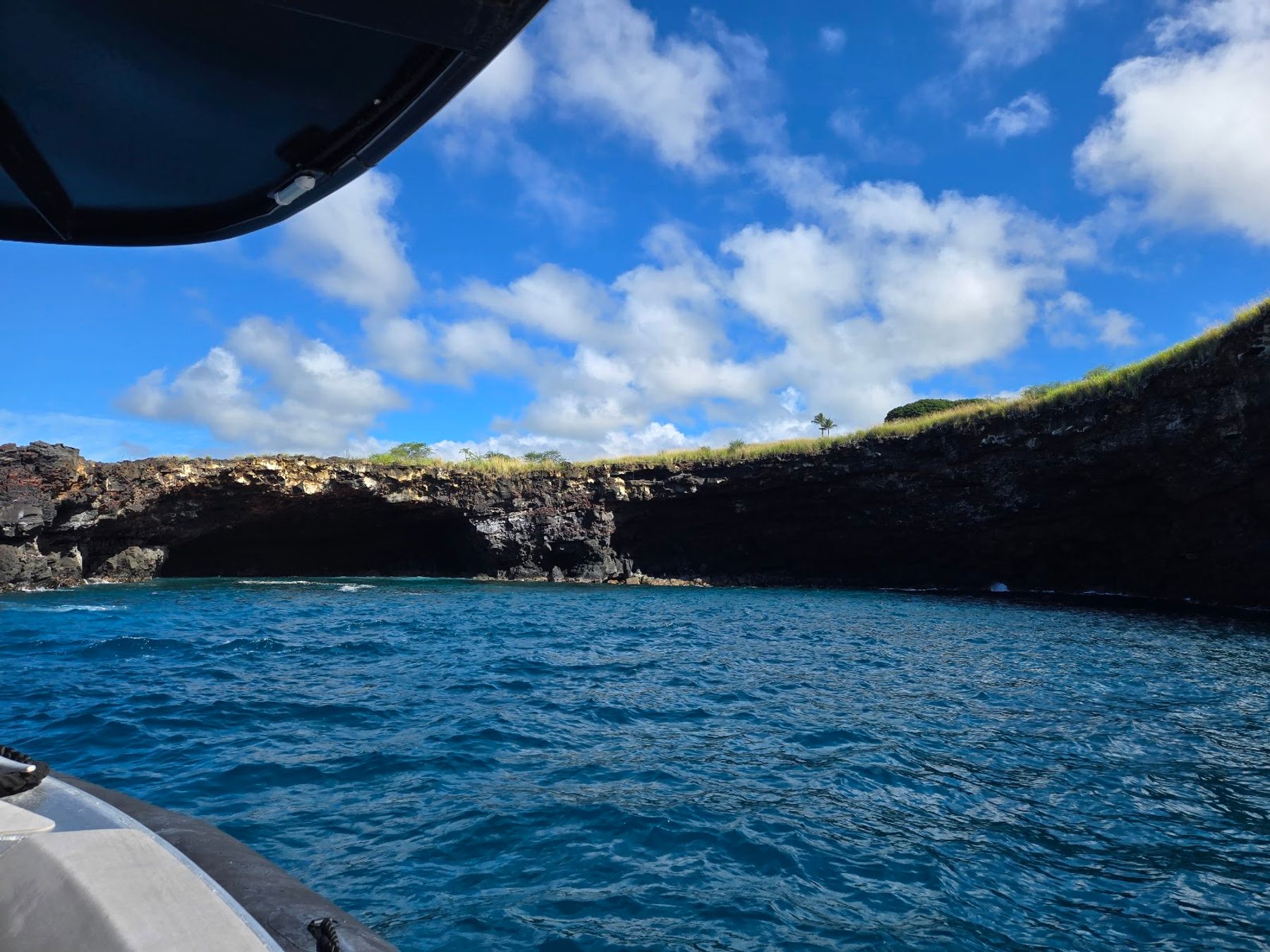 Photo 7 of Dolphin Discoveries- Snorkel Tour Check-in and Boutique in Kailua-Kona, Big Island