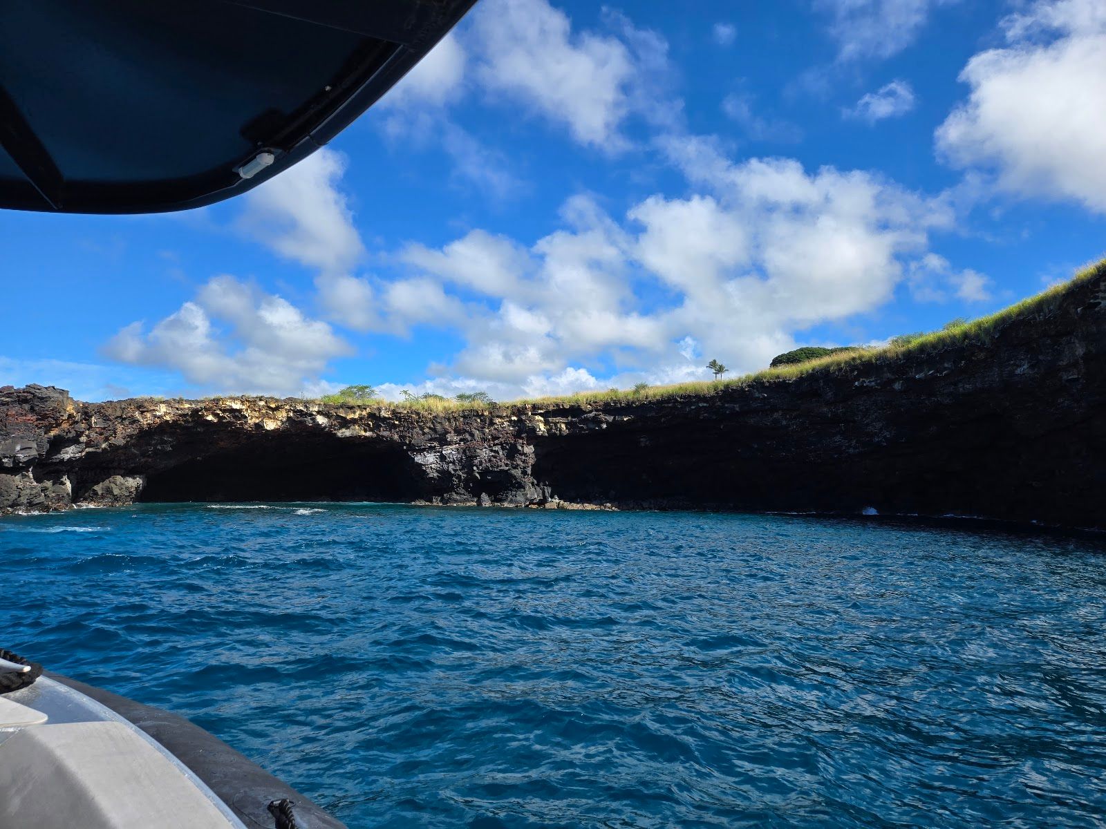 Photo 7 of Dolphin Discoveries- Snorkel Tour Check-in and Boutique in Kailua-Kona, Big Island