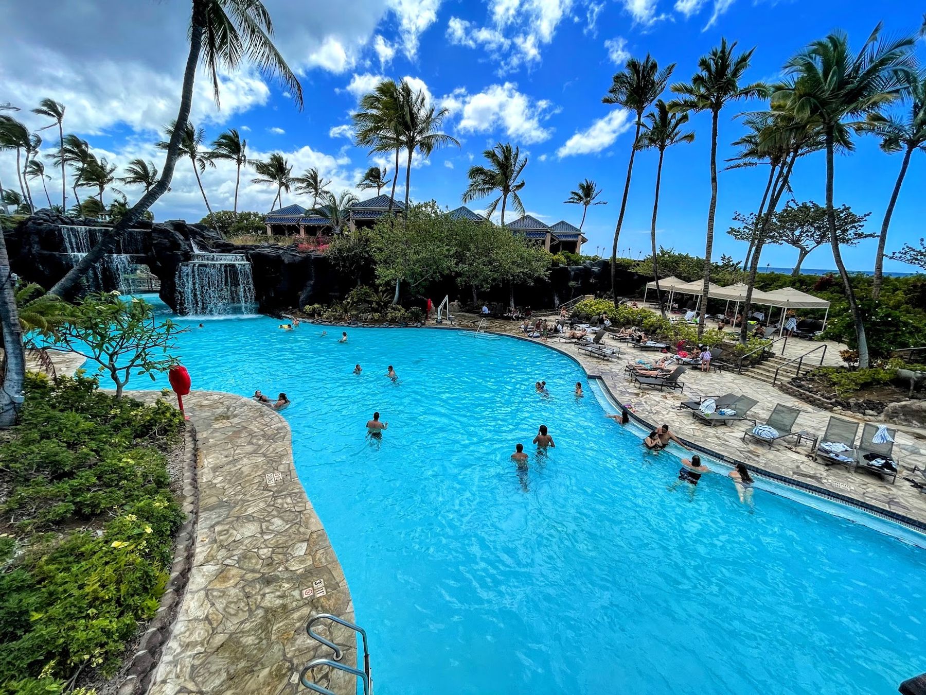 Photo 8 of Dolphin Quest Hawaii in Waikoloa, Big Island