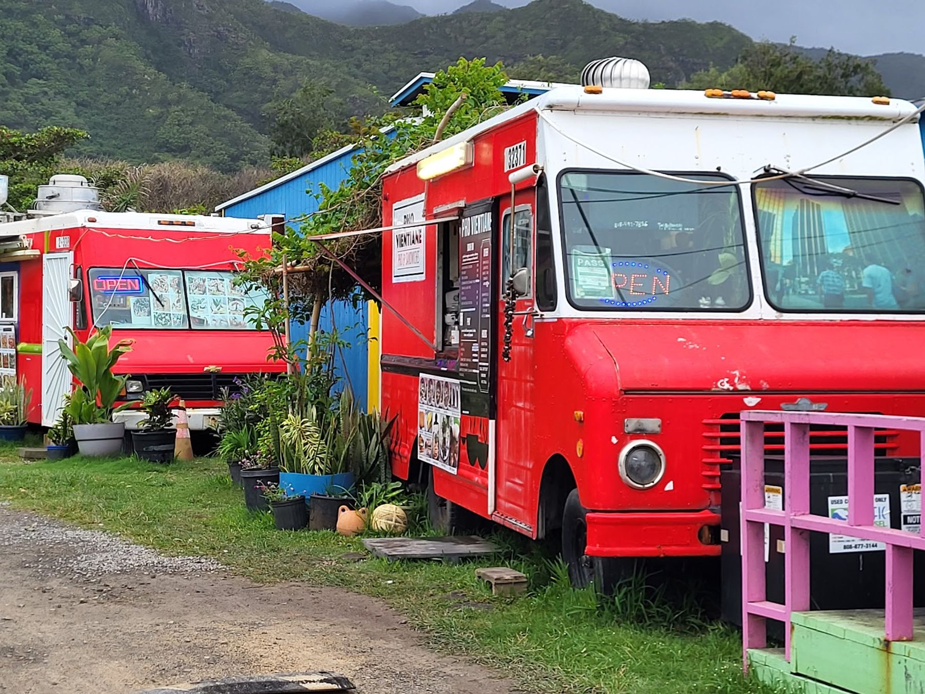 Photo 5 of Aloha Shrimp in Kualoa & North Windward, Oahu