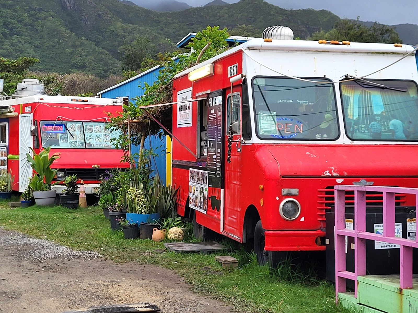 Photo 5 of Aloha Shrimp in Kualoa & North Windward, Oahu