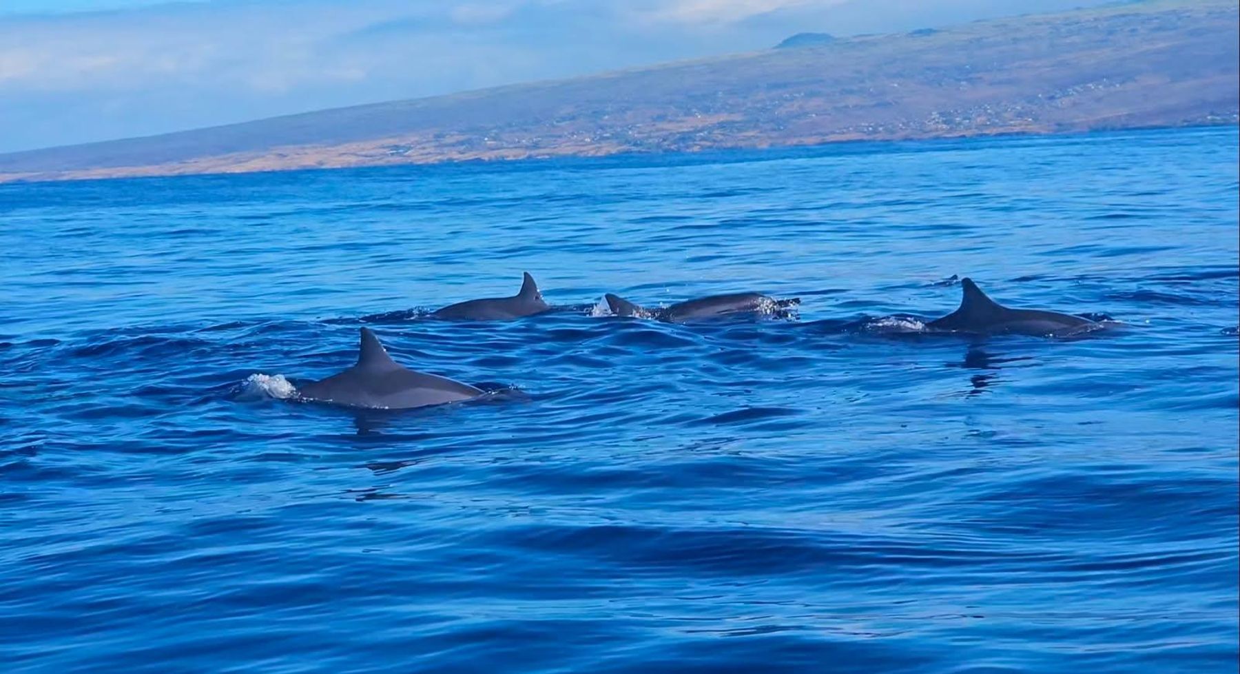 Photo 2 of Liquid Hawai‘i Charters in Waikoloa, Big Island