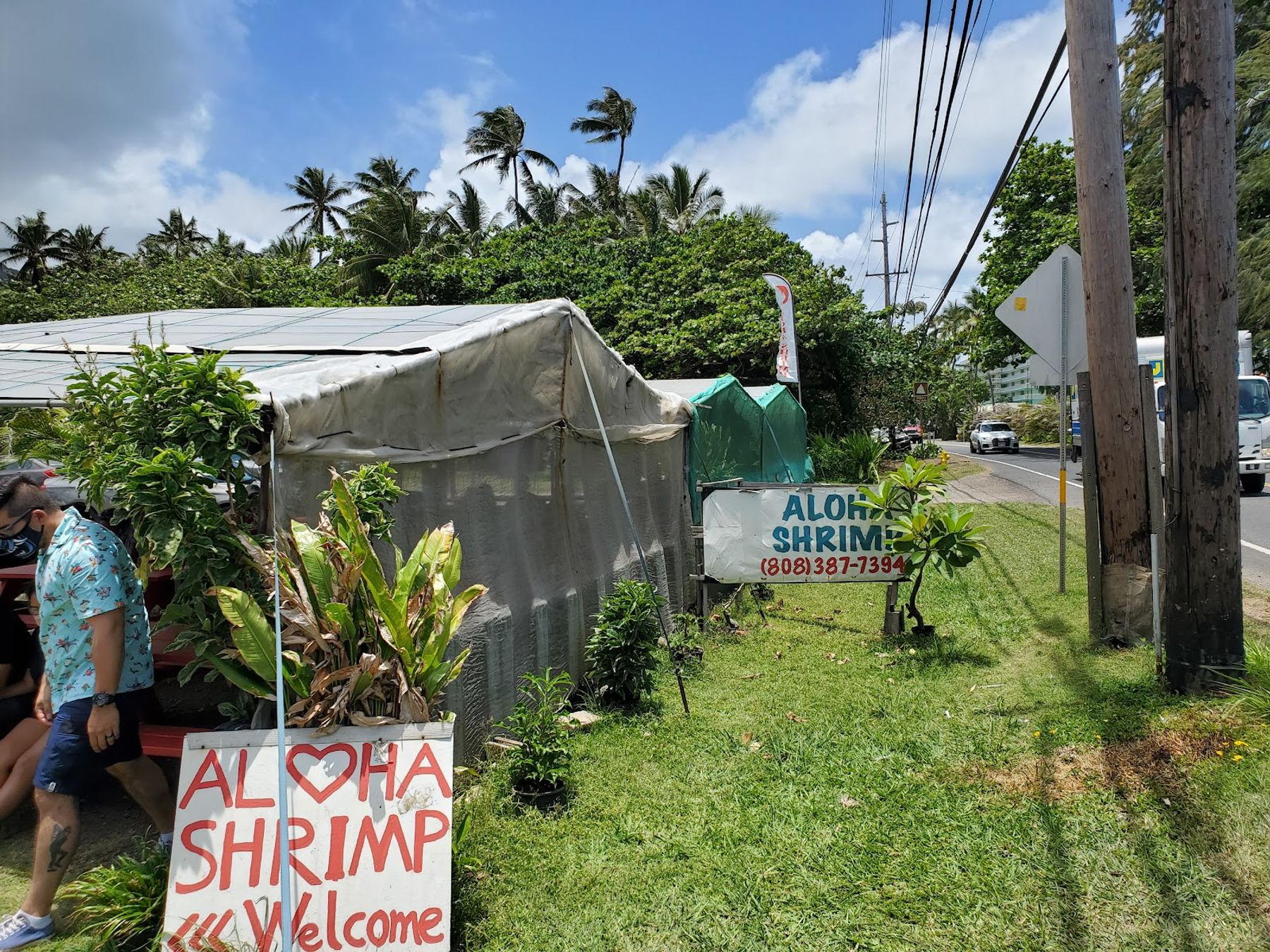 Photo 9 of Aloha Shrimp in Kualoa & North Windward, Oahu