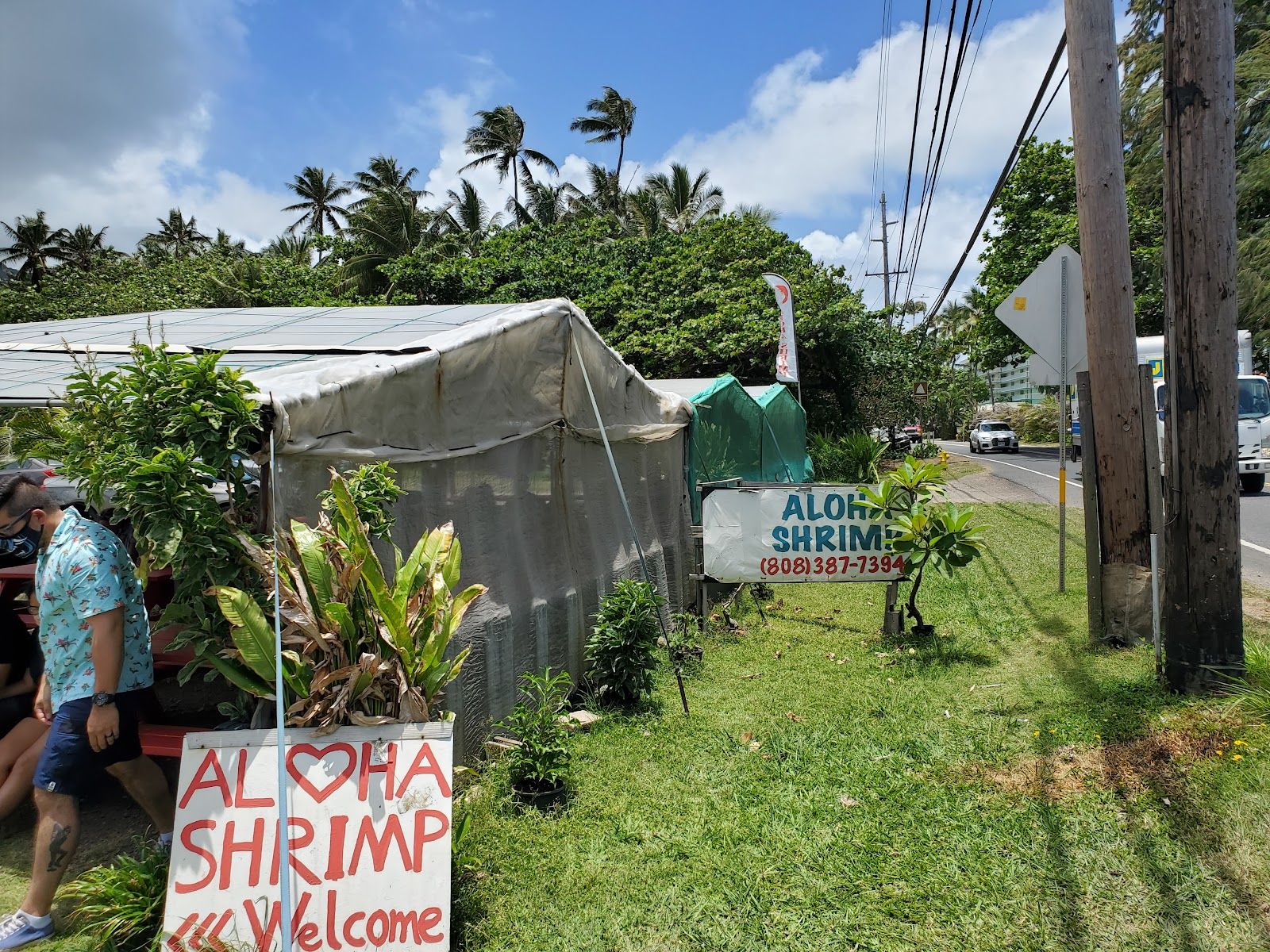 Photo 9 of Aloha Shrimp in Kualoa & North Windward, Oahu