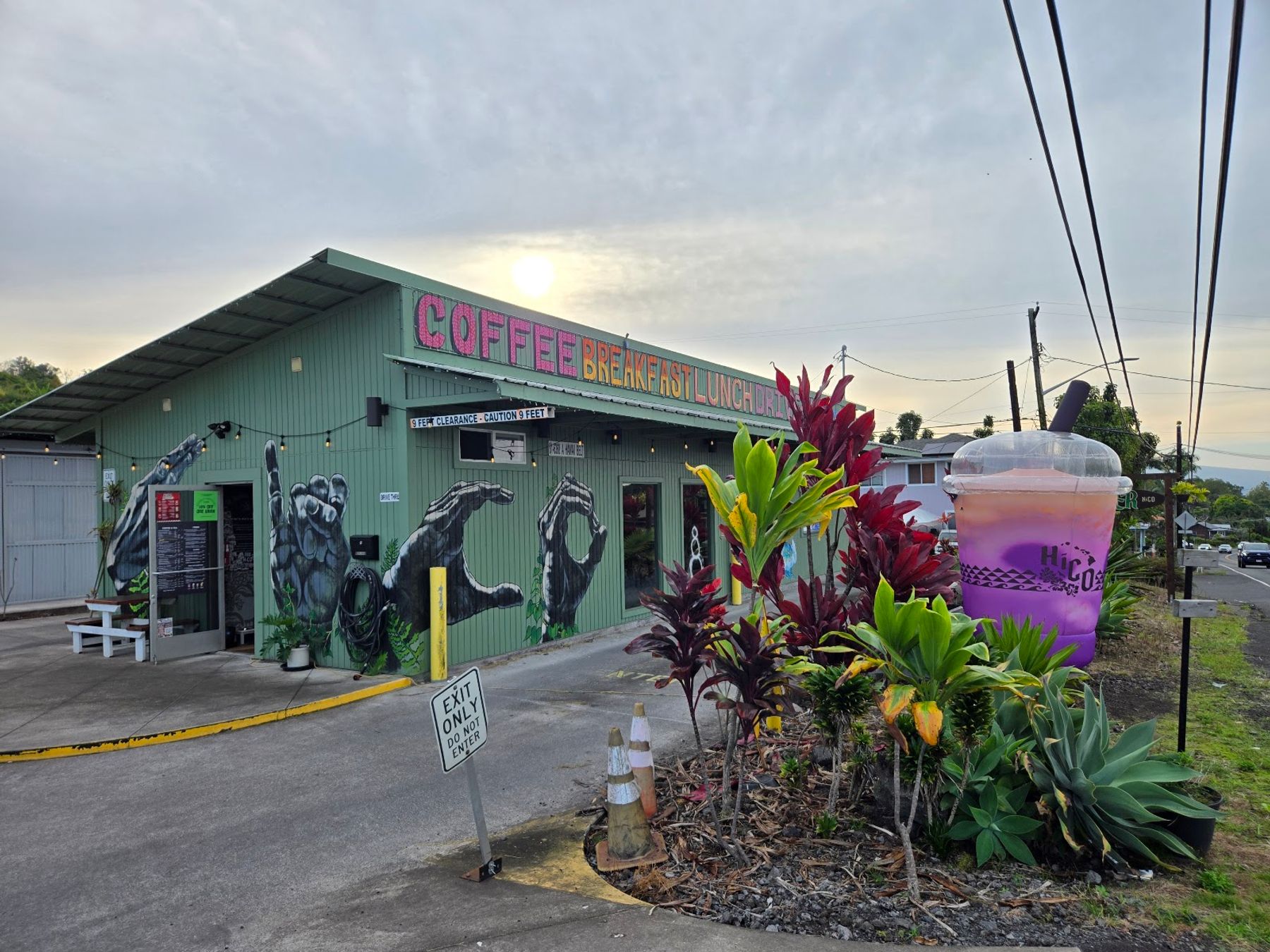 Photo 10 of HiCO Hawaiian Coffee in South Kona, Big Island