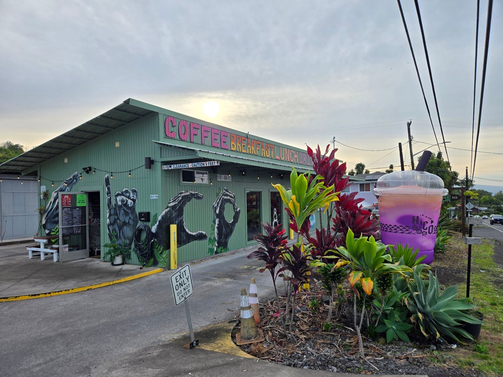 Photo 10 of HiCO Hawaiian Coffee in South Kona, Big Island