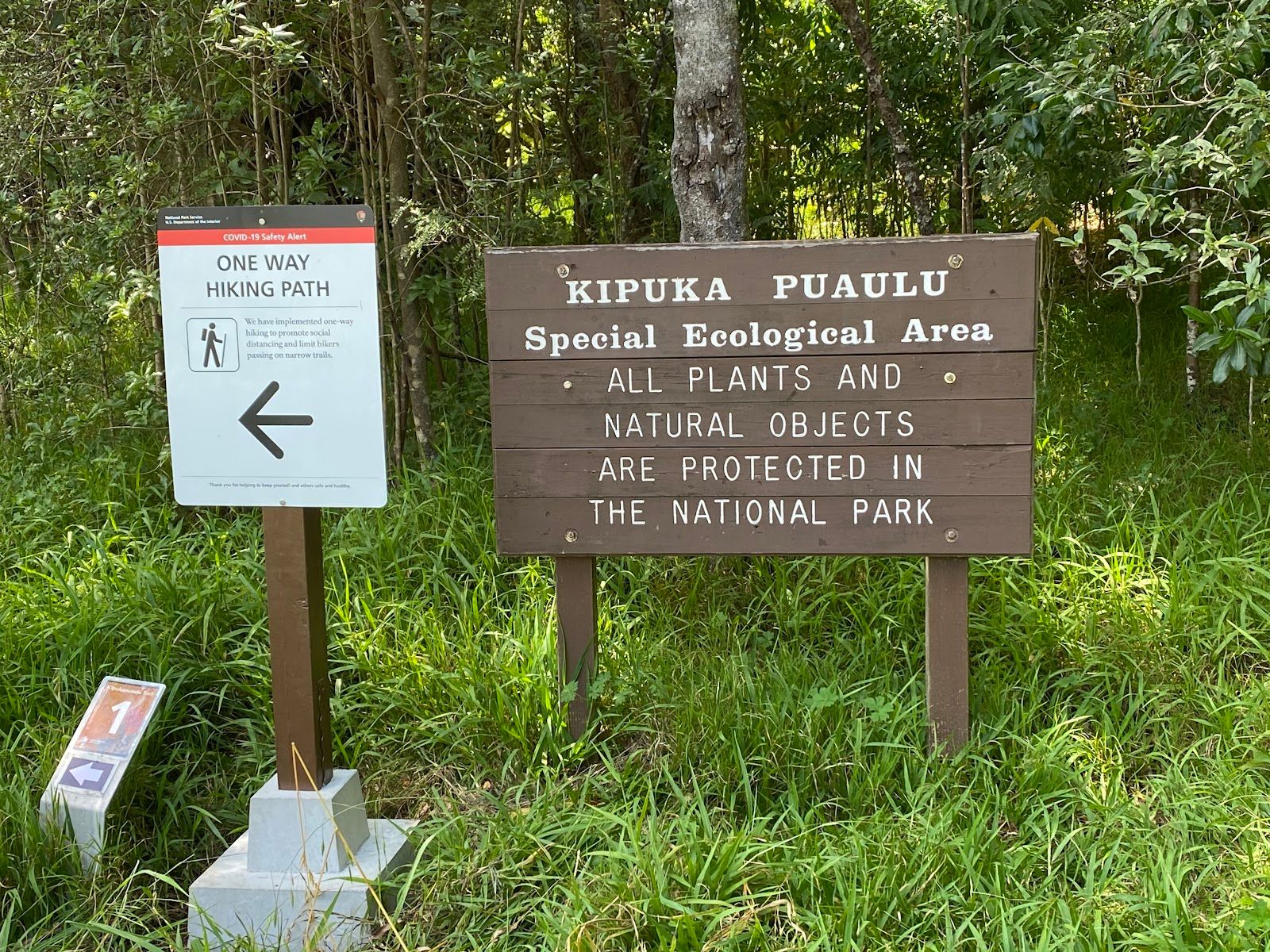 Photo 4 of Kipuka Puaulu Trail in Volcano, Big Island