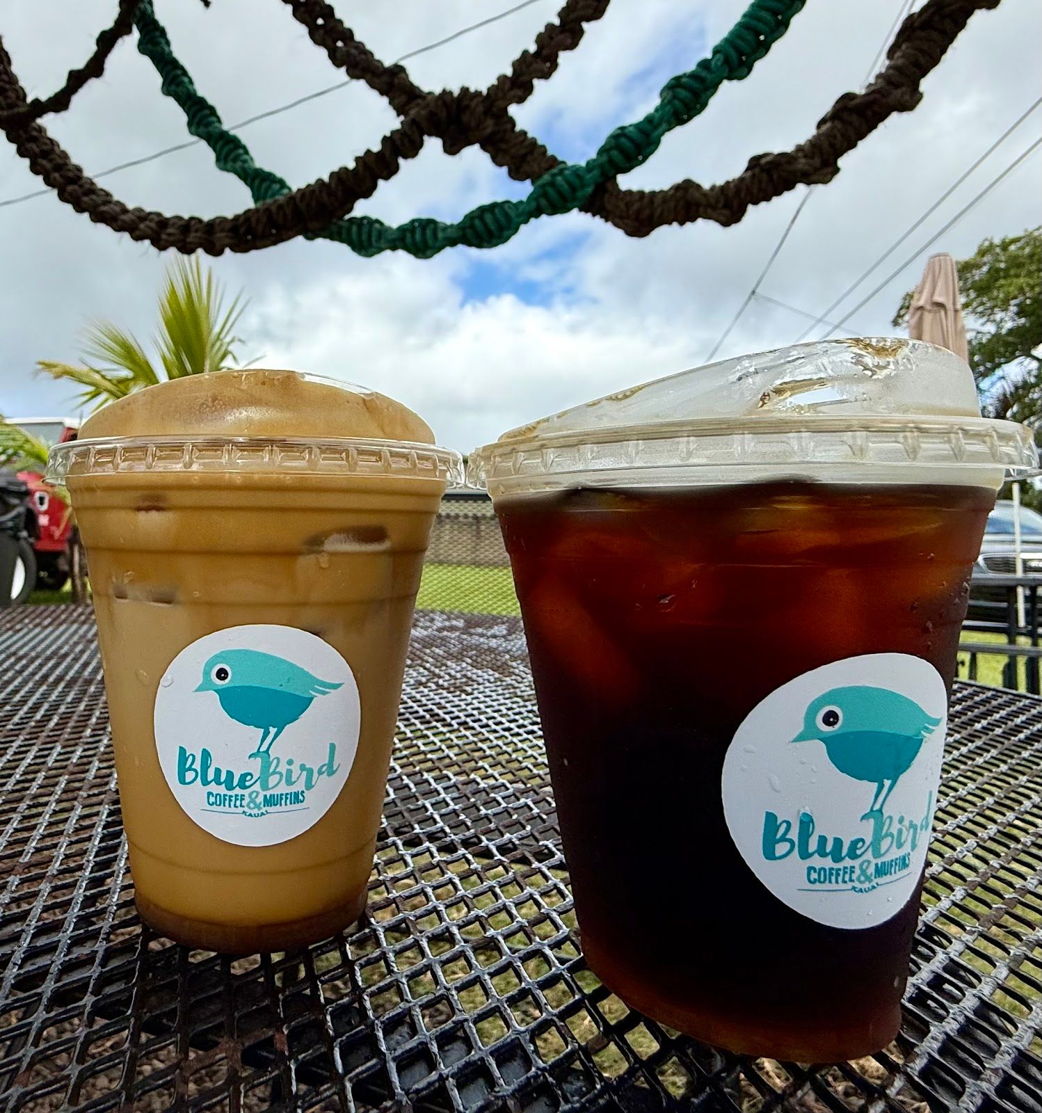 Photo 3 of Blue Bird Kauai in Līhuʻe, Kauai