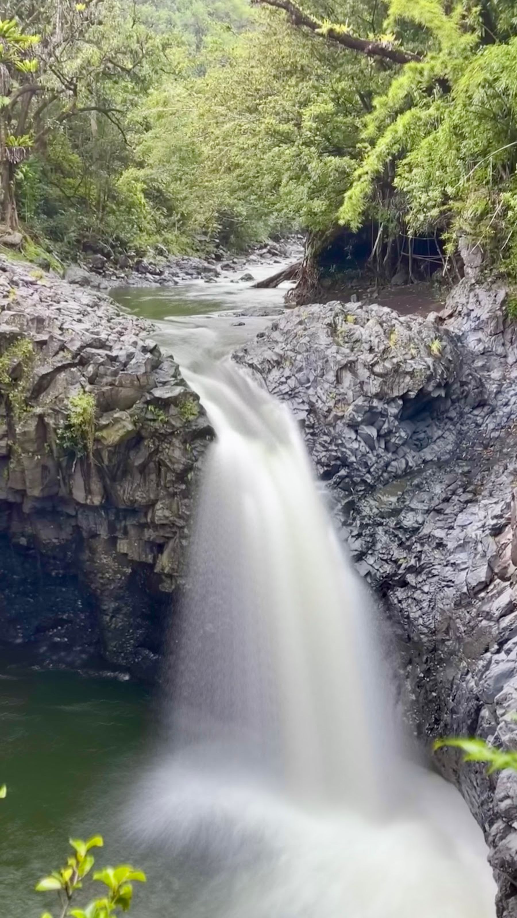 Photo 7 of ʻOheʻo Gulch in Kīpahulu & Kaupō, Maui