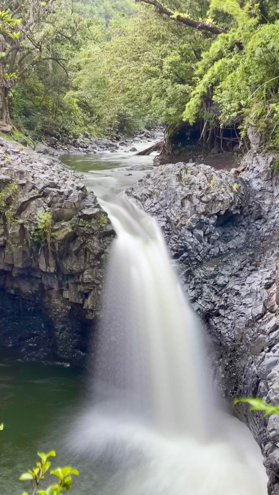 Photo 7 of ʻOheʻo Gulch in Kīpahulu & Kaupō, Maui