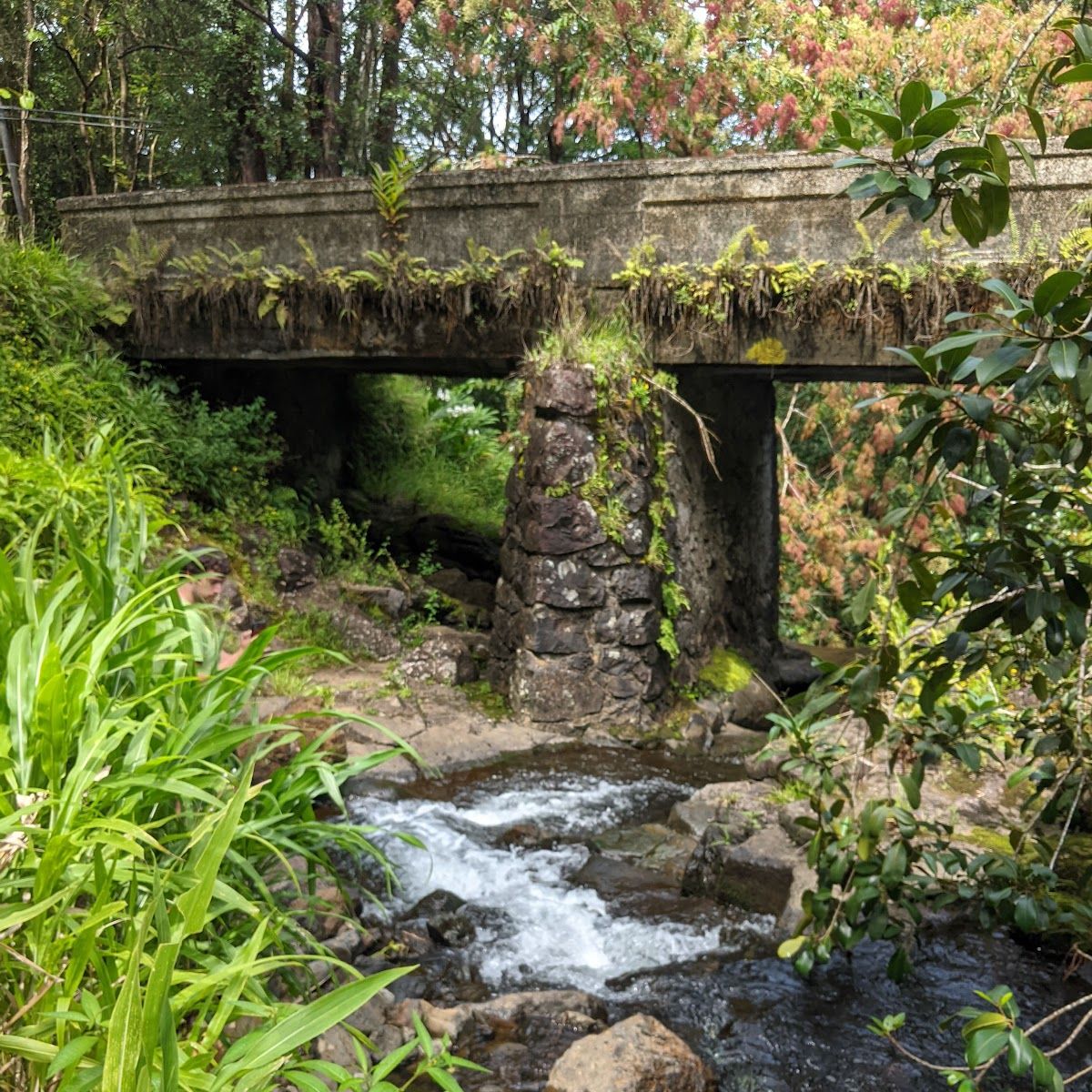 Photo 7 of Pua'a Ka'a Falls in Keʻanae-Nāhiku, Maui