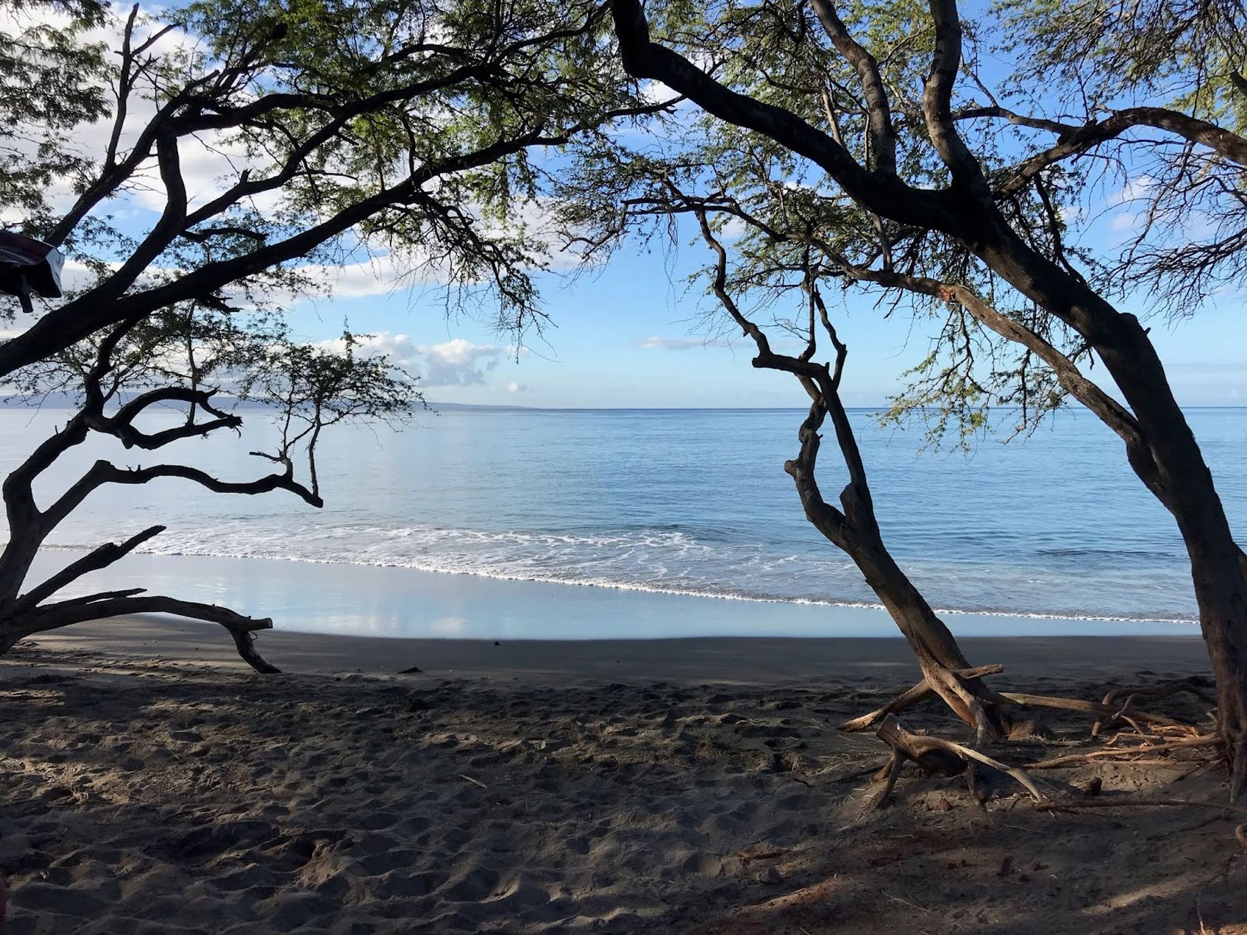 Photo 8 of Maui Snorkel Tours in Kīhei, Maui