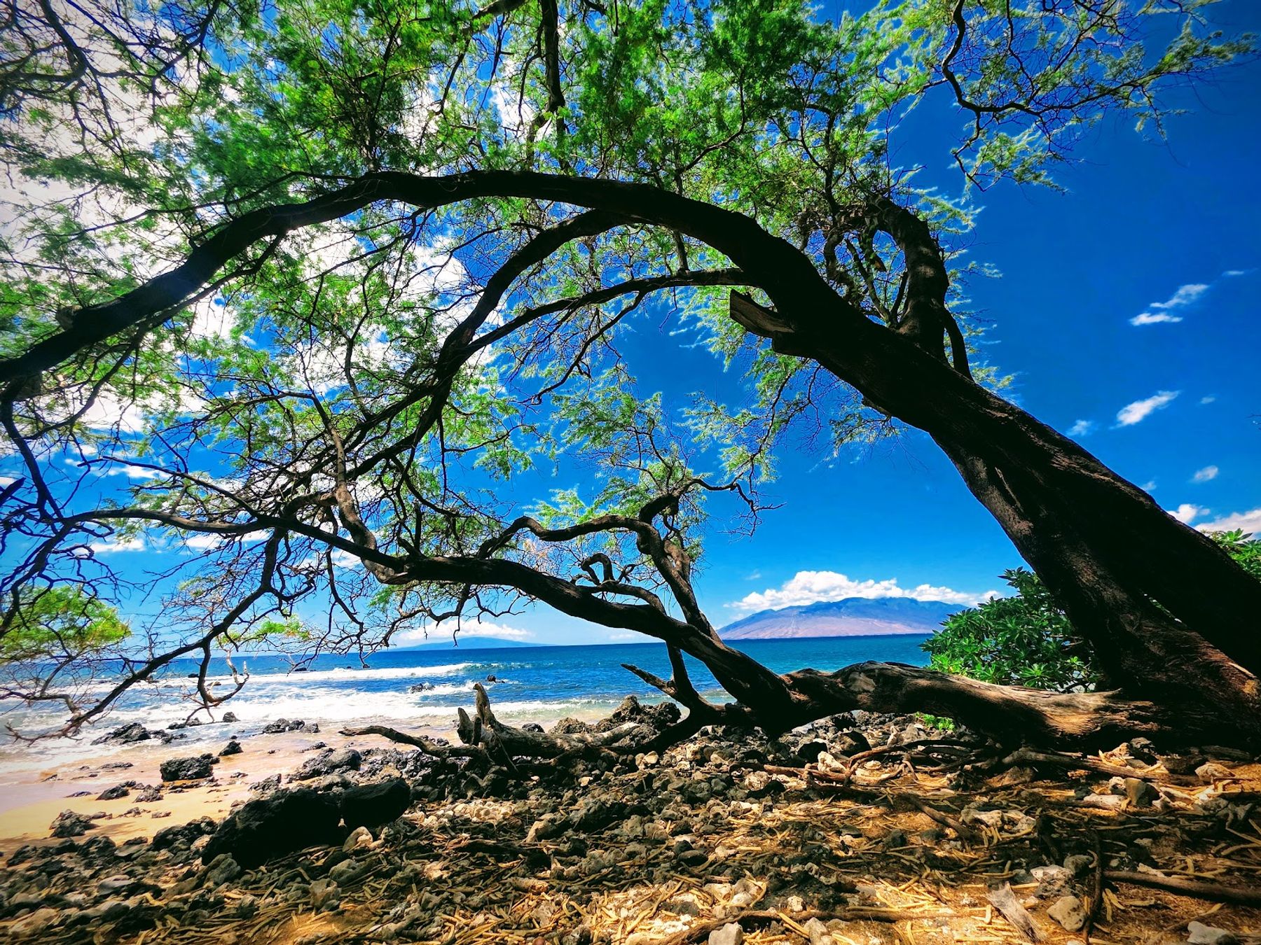 Photo 7 of Mokapu Beach Park in Wailea, Maui