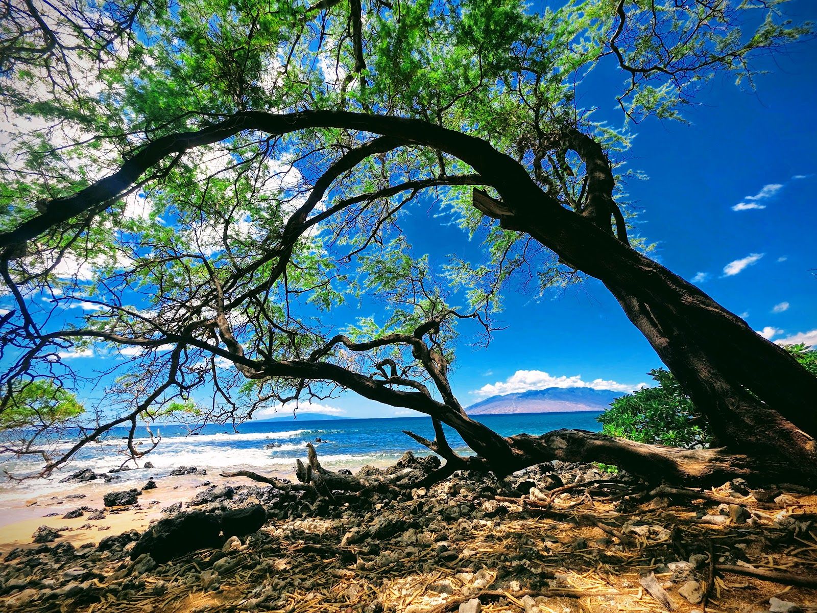 Photo 7 of Mokapu Beach Park in Wailea, Maui