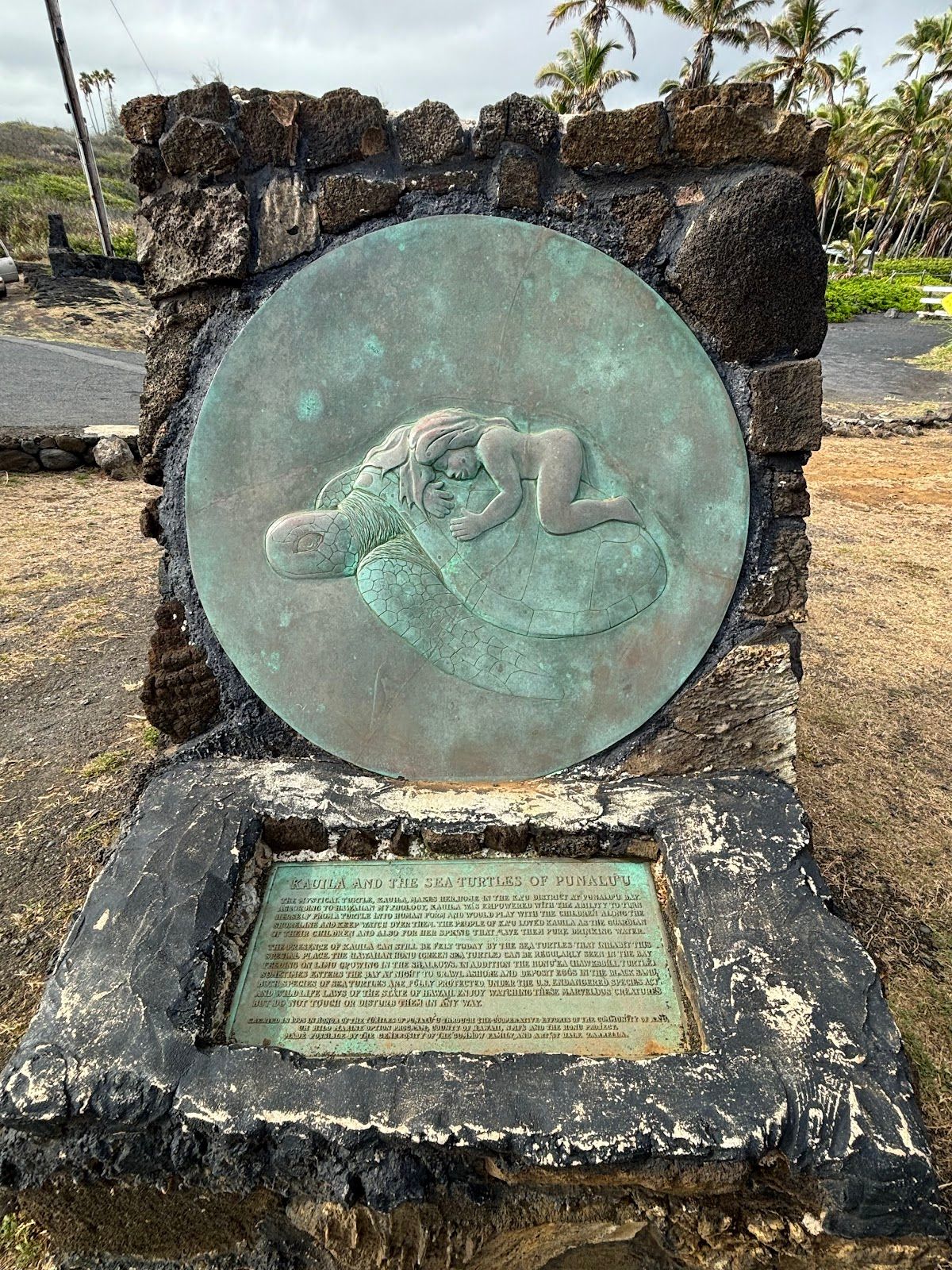 Photo 5 of Punaluʻu Beach in Pāhala, Big Island