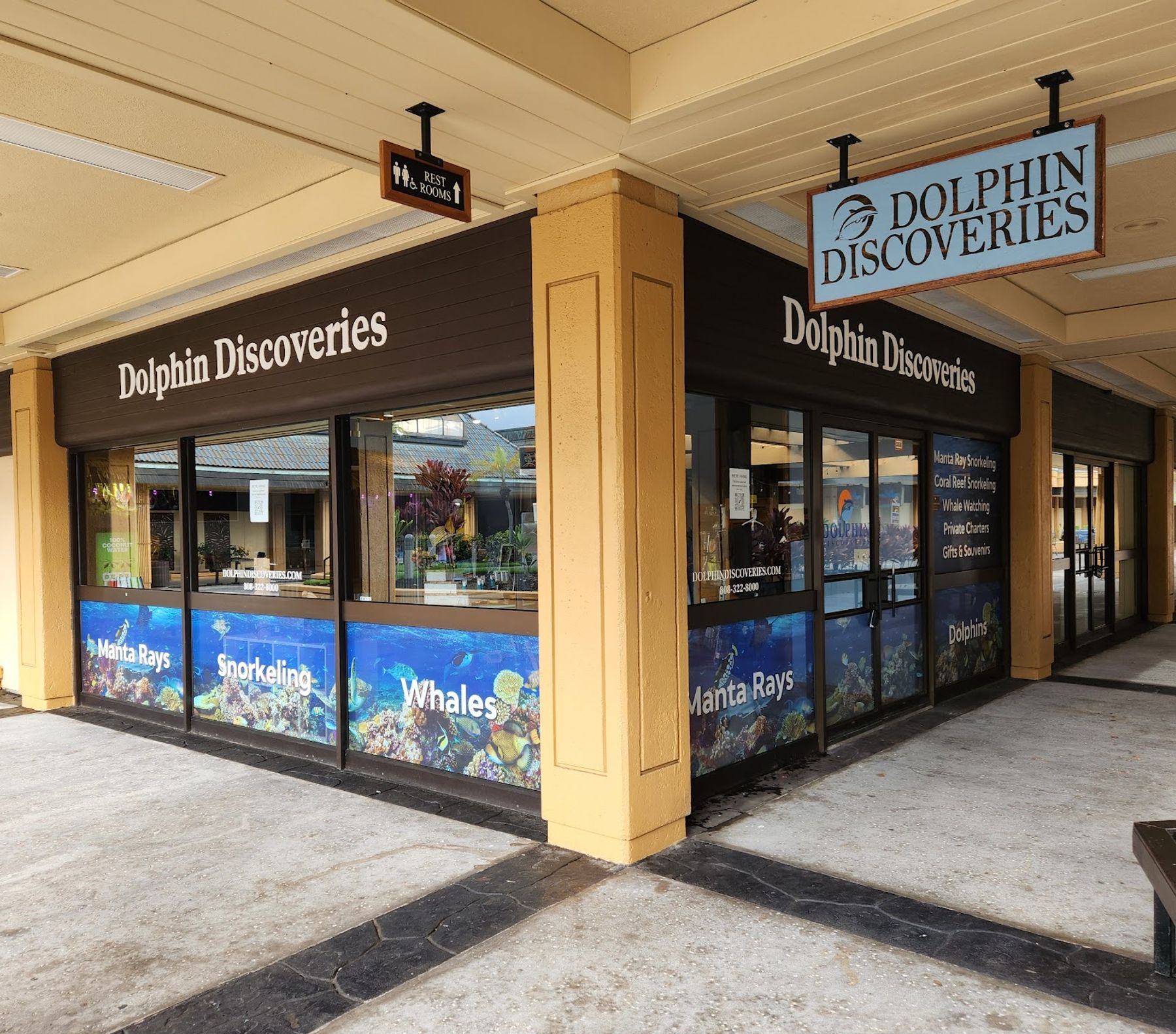 Photo 3 of Dolphin Discoveries- Snorkel Tour Check-in and Boutique in Kailua-Kona, Big Island