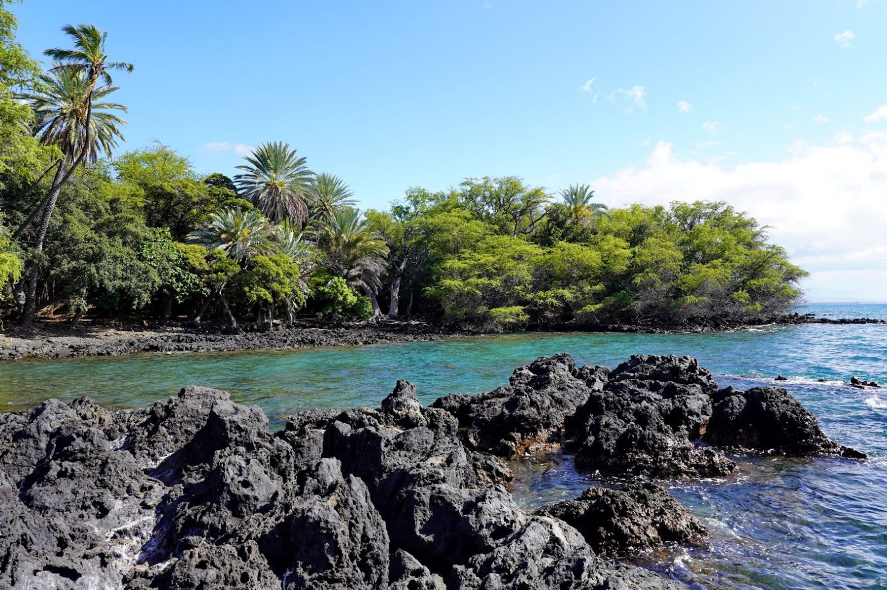 Photo 10 of Spencer Beach Park in Mauna Kea Beach, Big Island