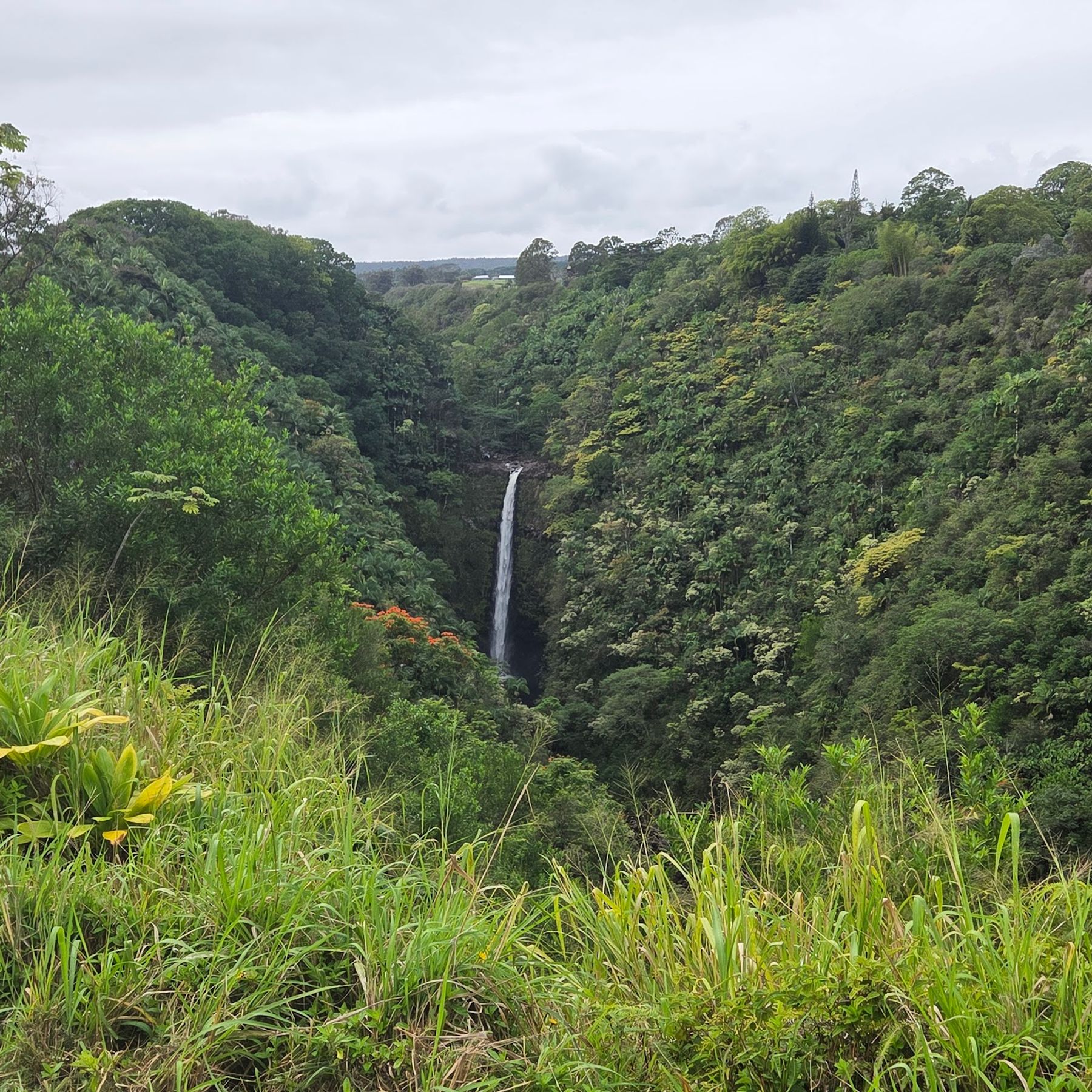 Photo 2 of Hawaii Zipline & Hiking Tours in Greater Hilo, Big Island