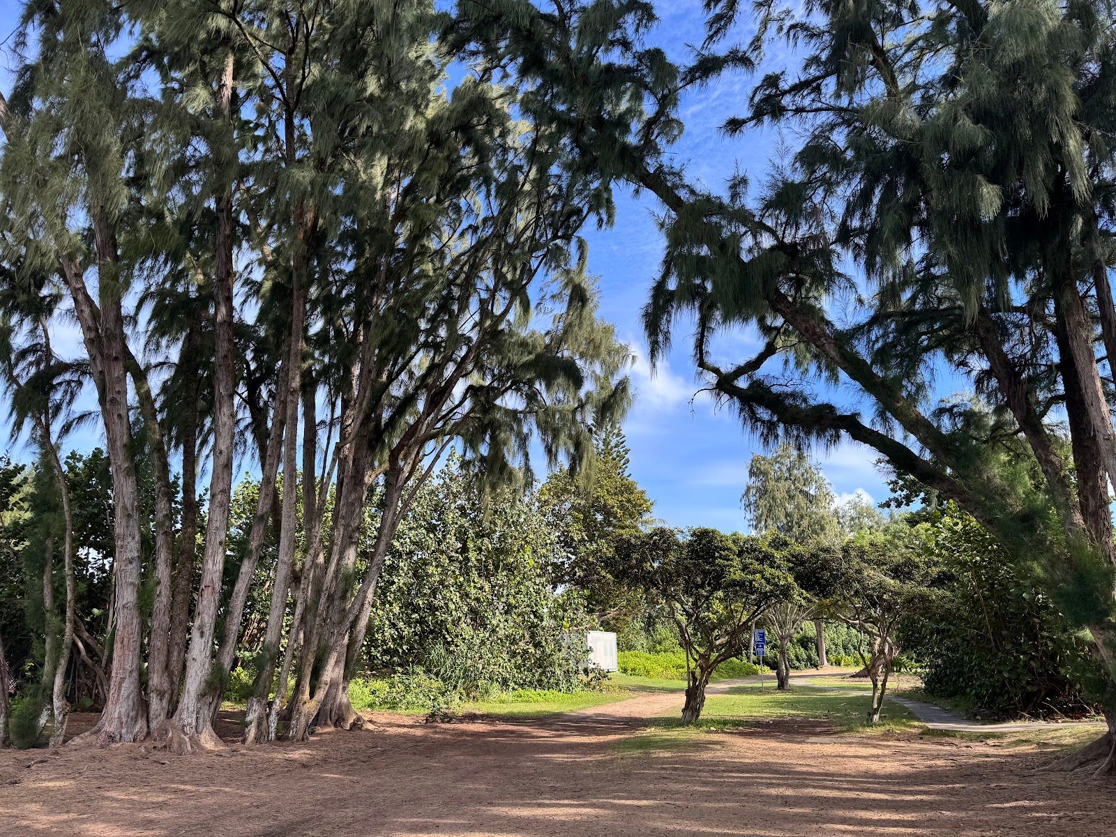 Photo 9 of Kalama Beach Park in Kailua & Lanikai, Oahu