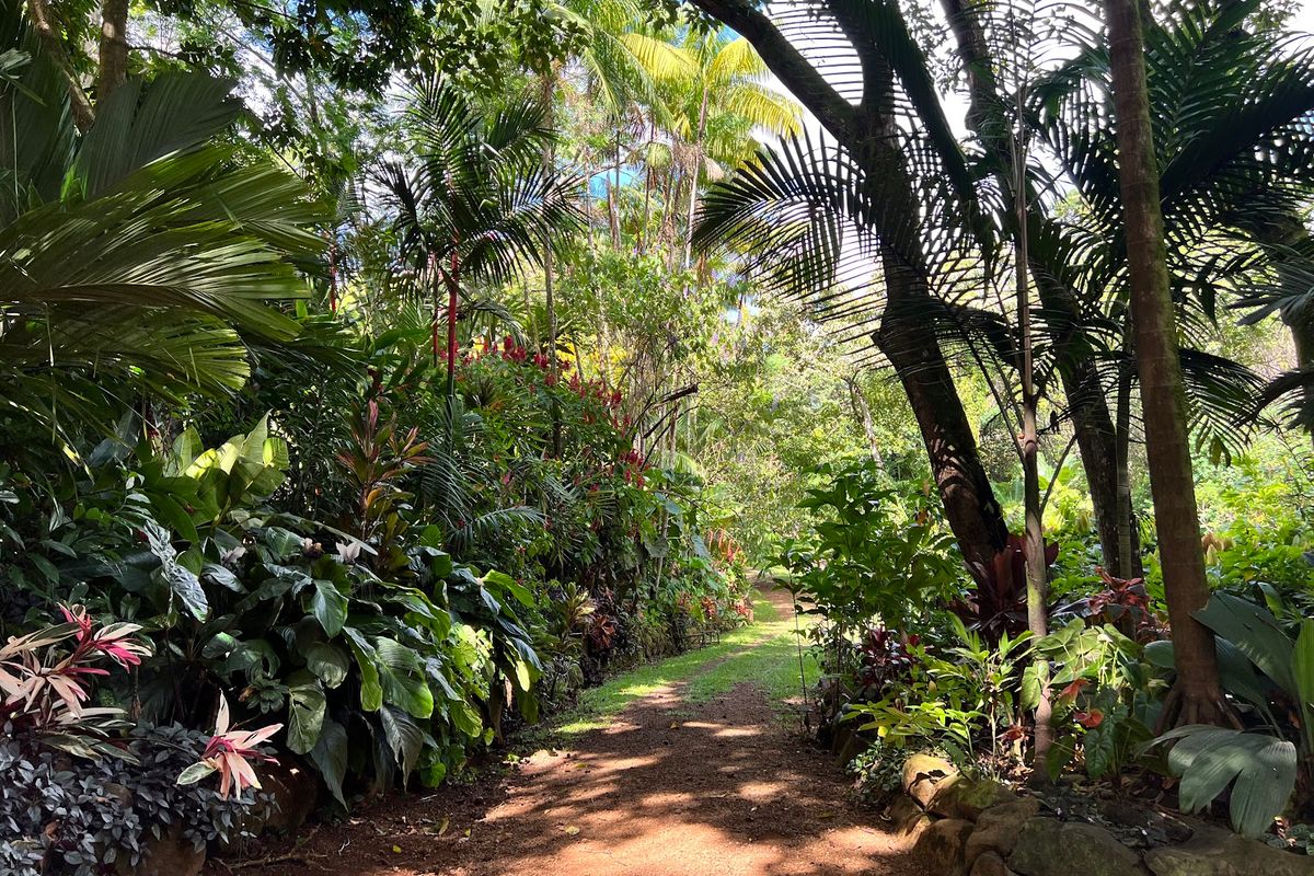 Princeville Botanical Gardens in Princeville, Kaua‘i