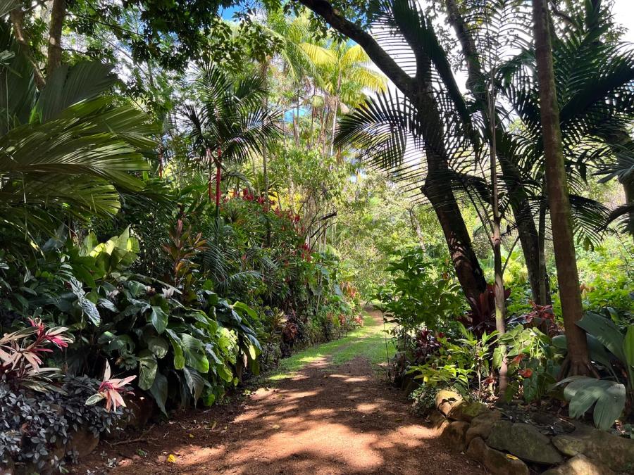 Princeville Botanical Gardens in Princeville, Kaua‘i