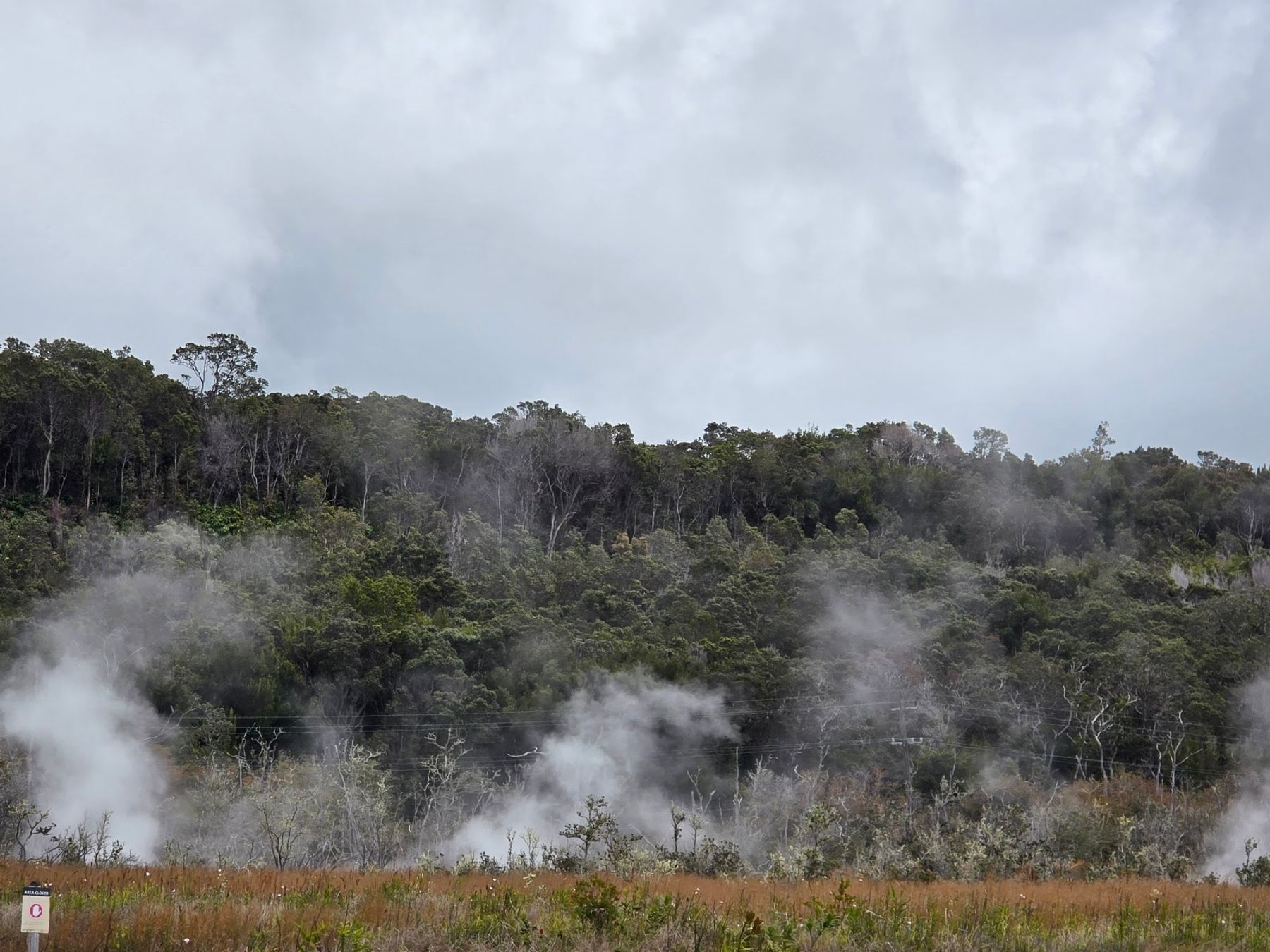 Photo 1 of Steam Vents in Volcano, Big Island