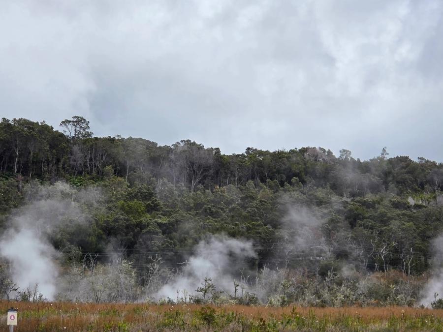 Photo 1 of Steam Vents in Volcano, Big Island