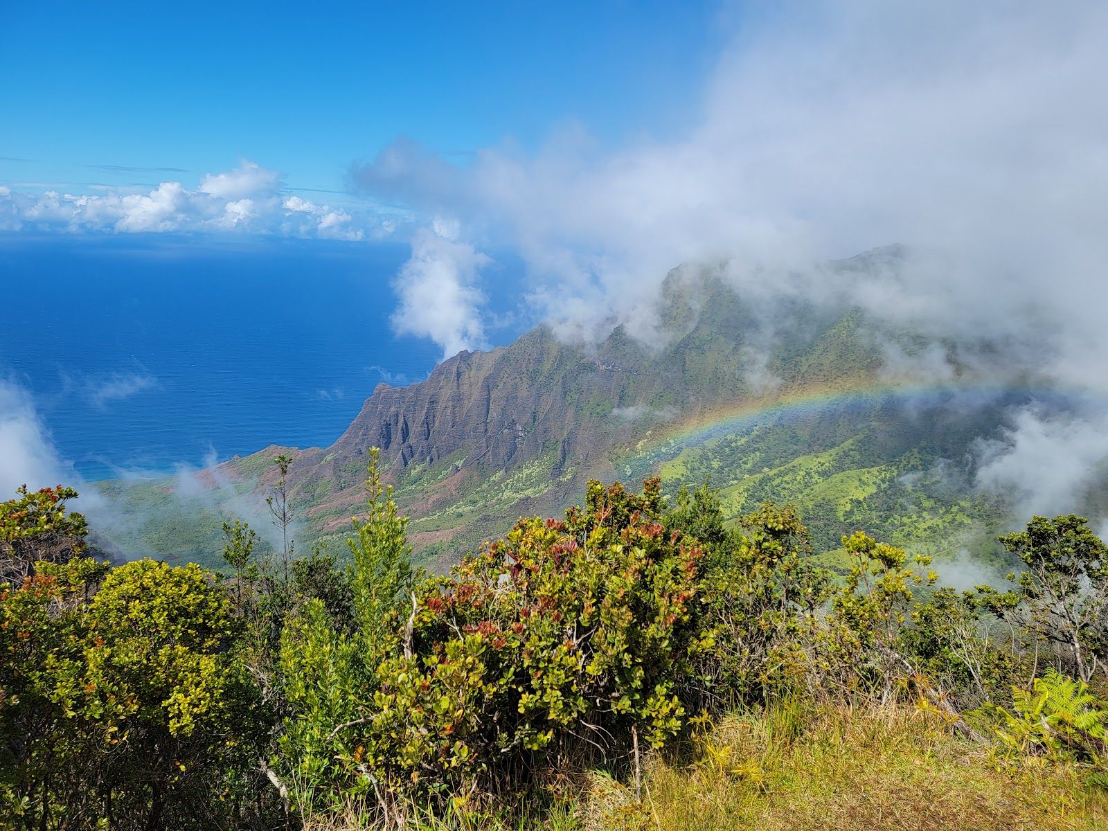 Pu’u O Kila Lookout in Waimea, Kaua‘i photo 4
