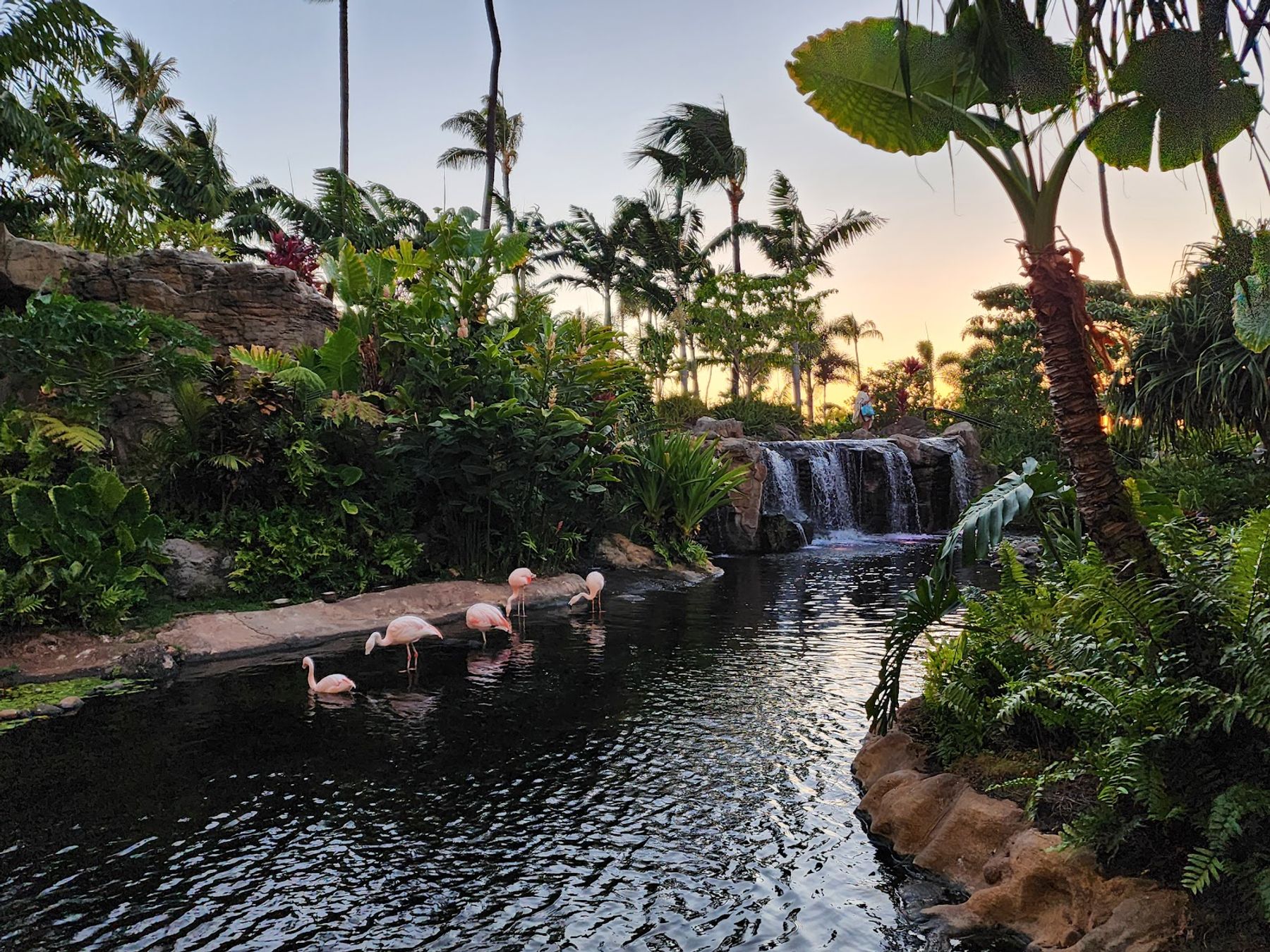 Photo 4 of Westin Maui Beach Bar in Kāʻanapali, Maui