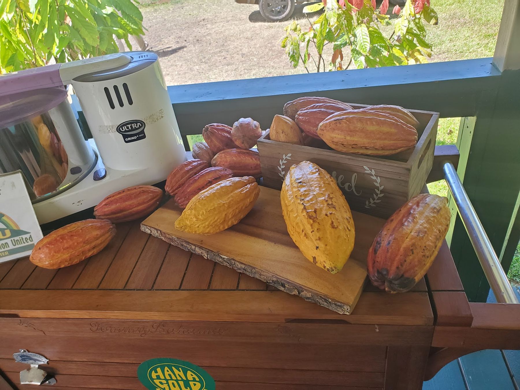 Photo 5 of Hana Gold Cacao Plantation in Hāna, Maui