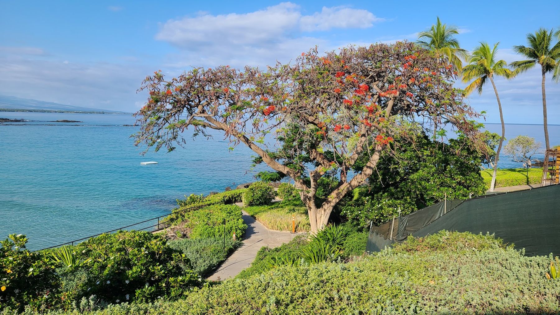 Photo 7 of Manta Restaurant in Mauna Kea Beach, Big Island