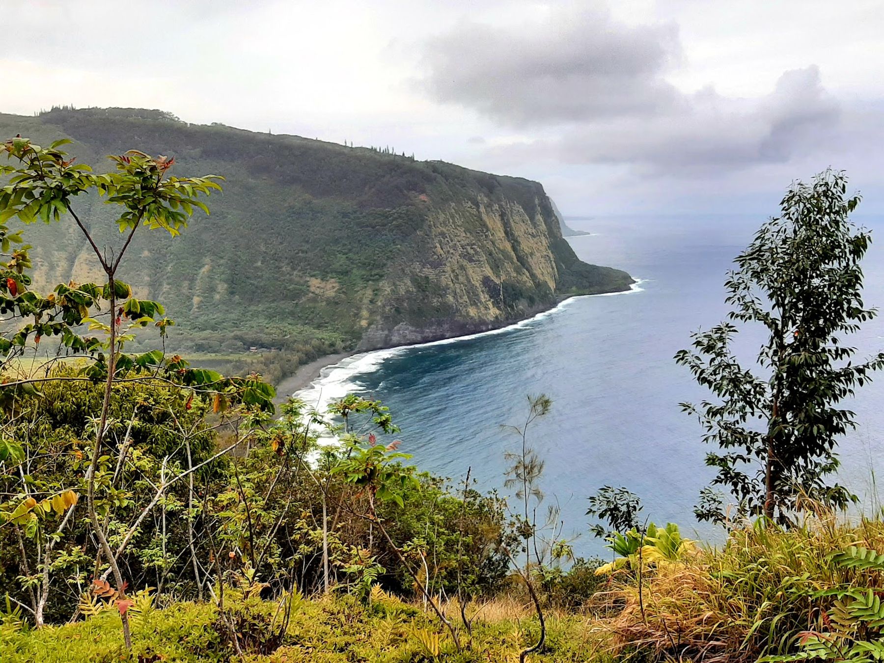 Photo 7 of Laupāhoehoe Lookout in Laupāhoehoe, Big Island