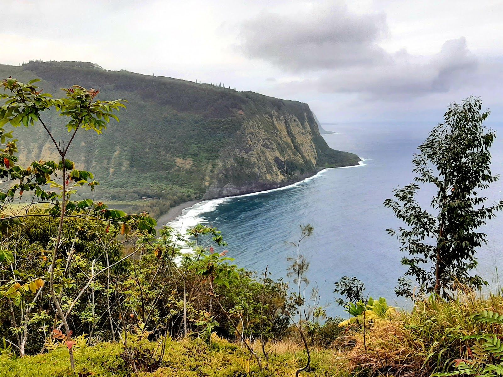 Photo 7 of Laupāhoehoe Lookout in Laupāhoehoe, Big Island